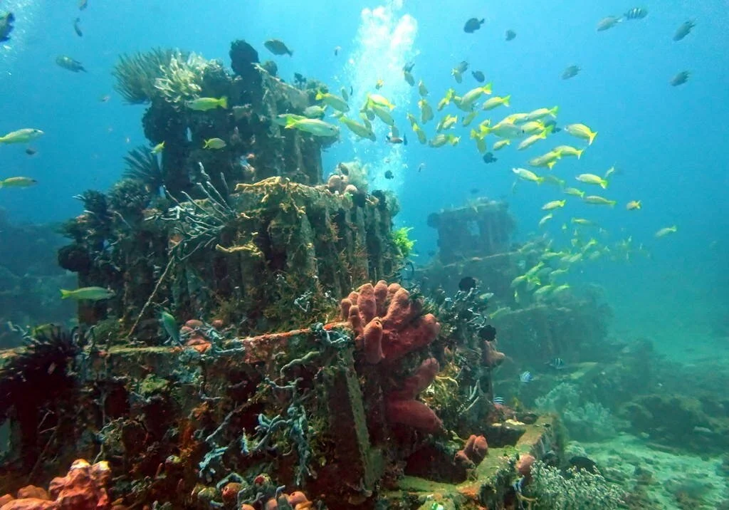 bali-amed-30.jpg