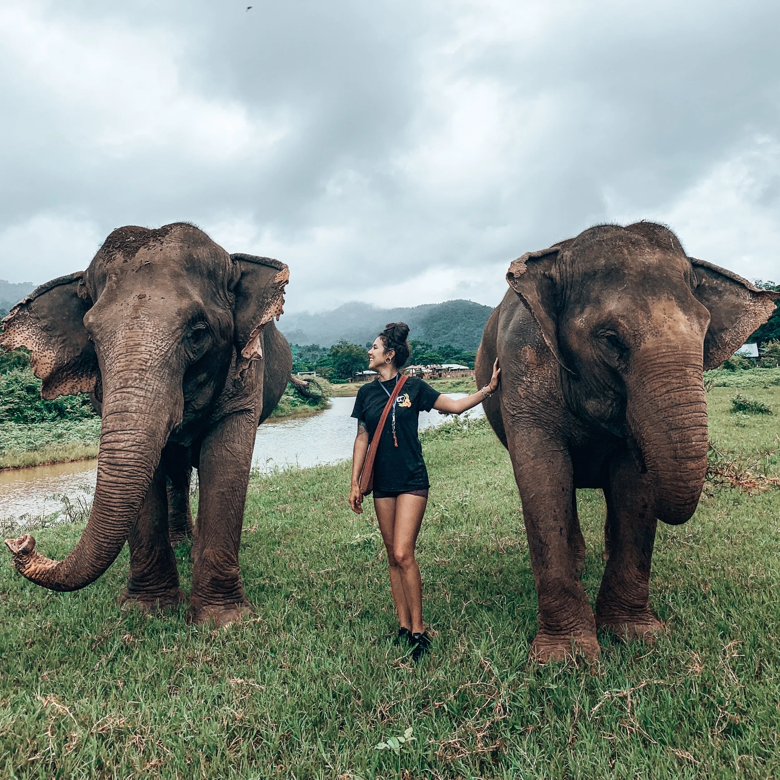 Chiang Mai Elephant Sanctuary @wanderwithjamie