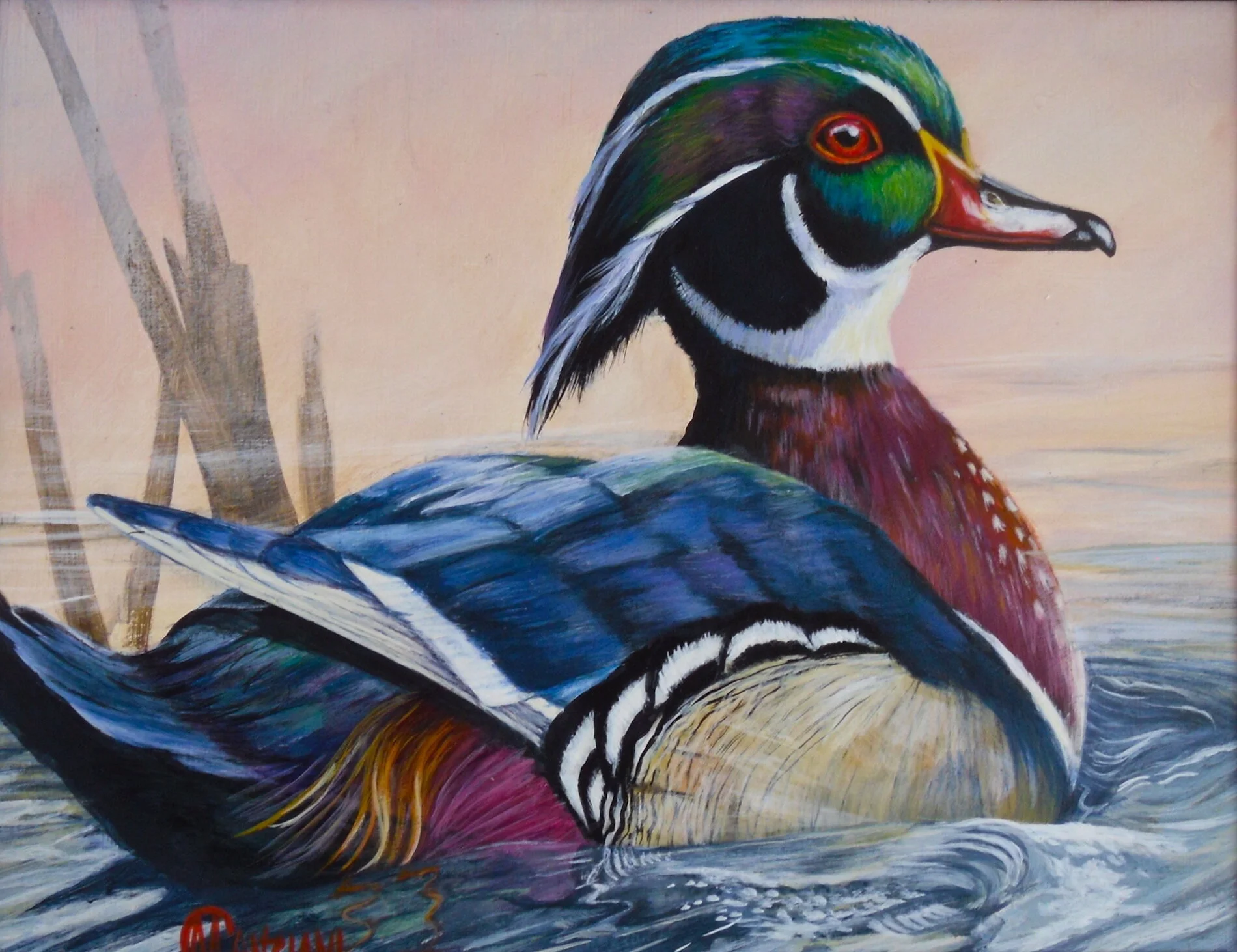 UNTITLED (WOOD DUCK)