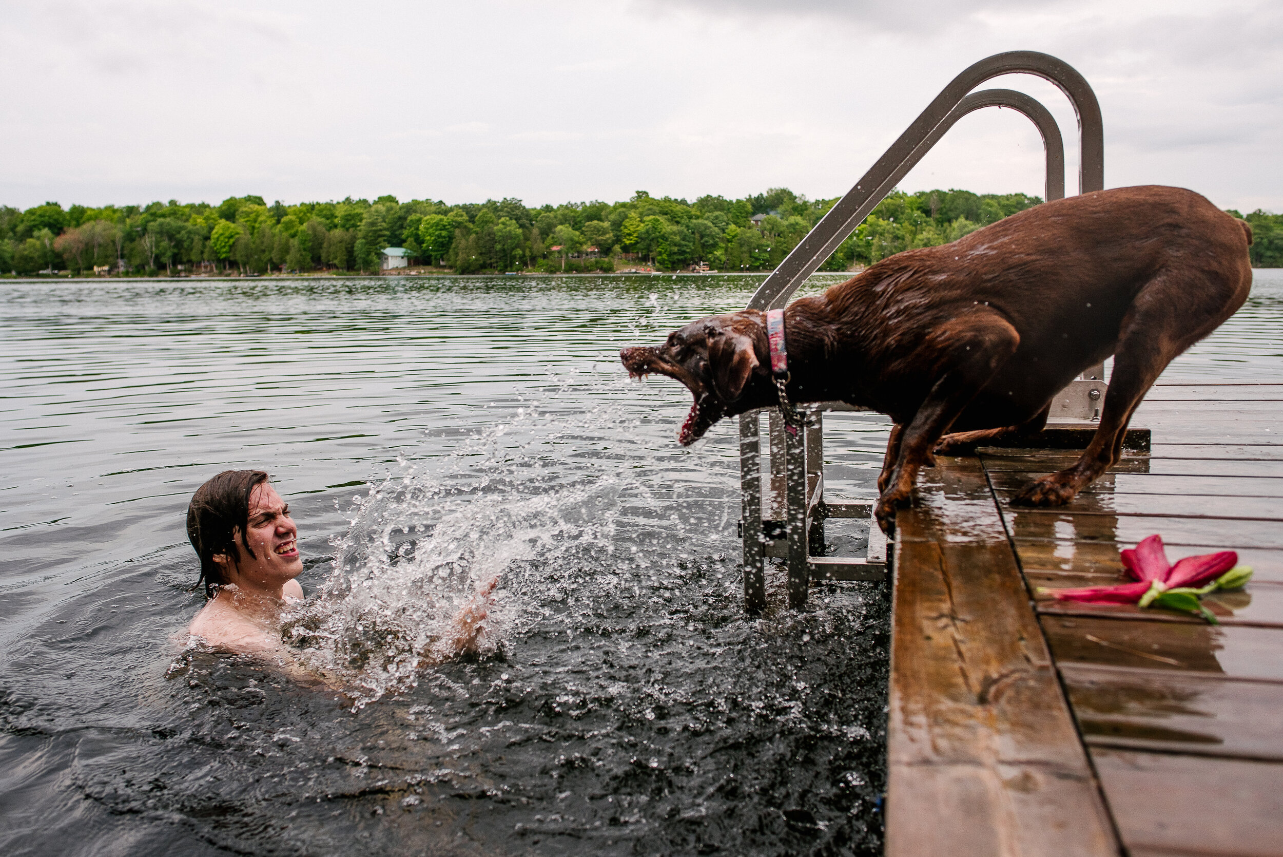 Dog catching water being splashed at him at Verona, Ontario wedding