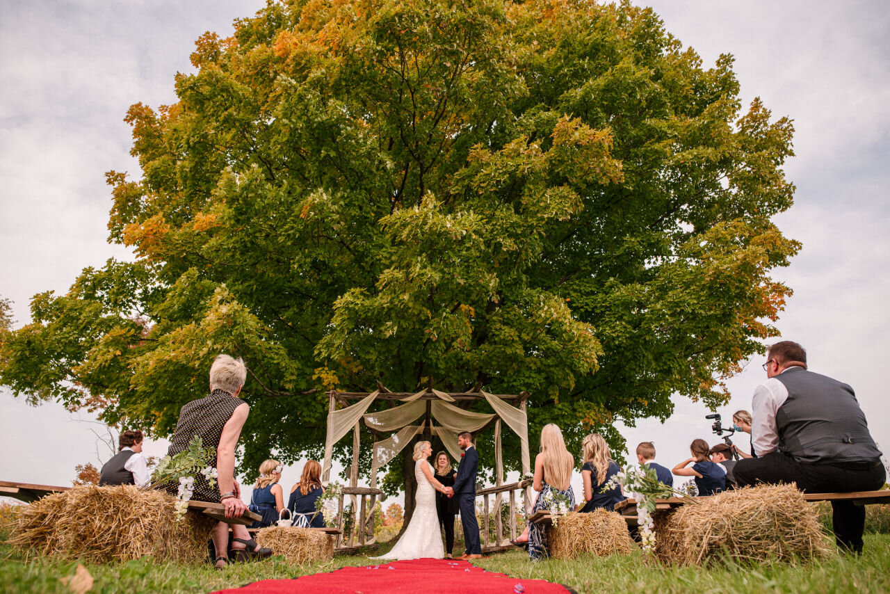 Bride and groom and their guests at rural Ontario elopement 