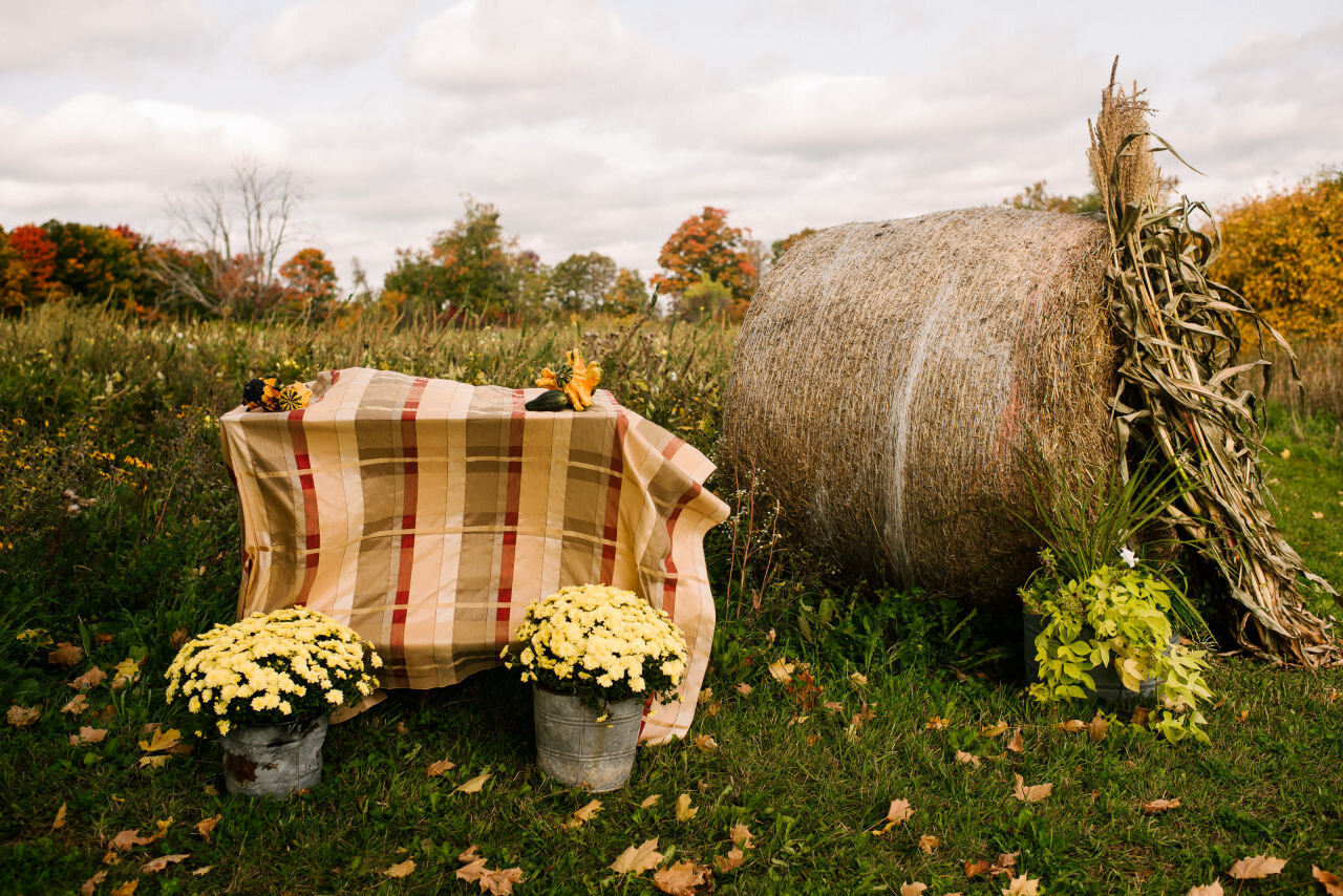 Natural decorations and a straw bale at a rural elopement near Kingston, Ontario