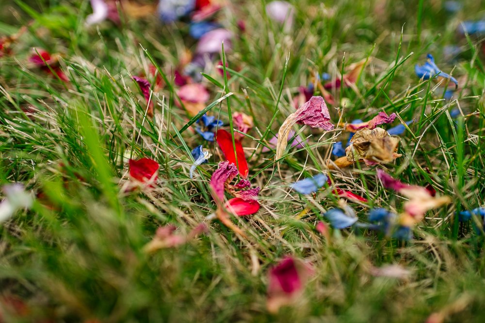 Beautiful flower petals at the ground in the wedding ceremony