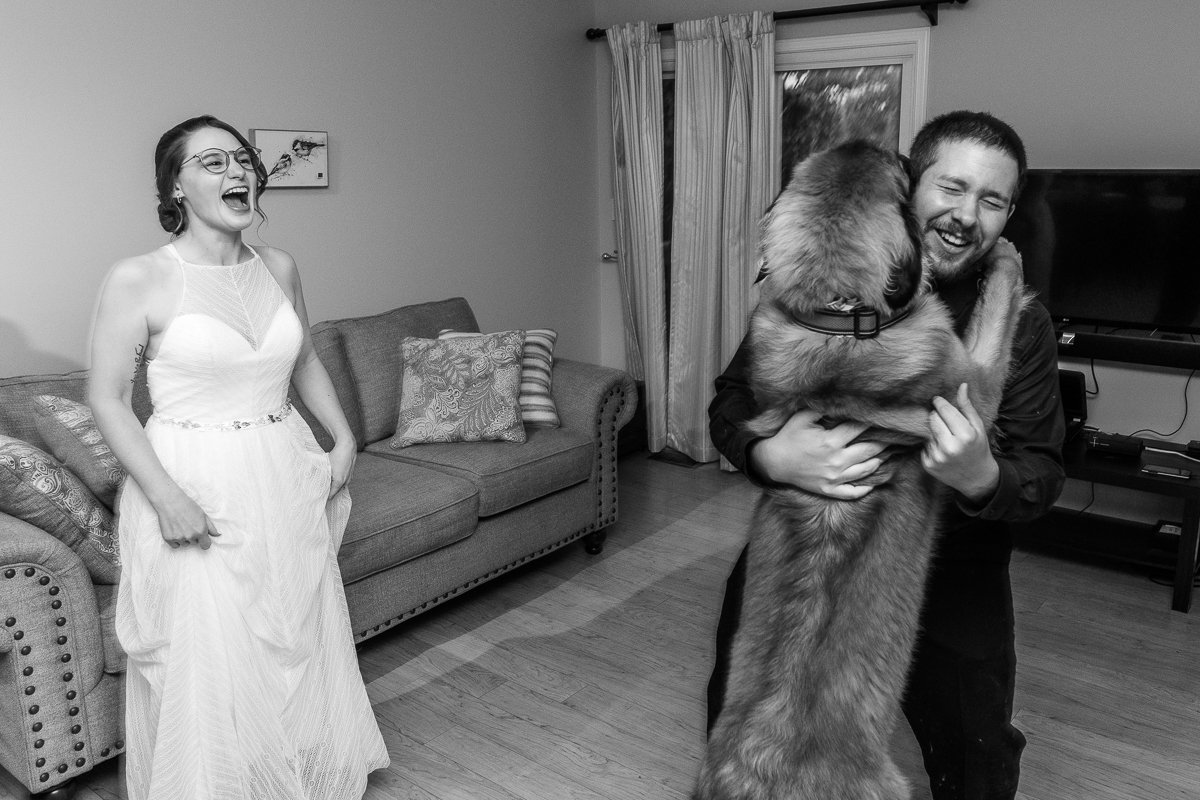 Dog hugging guests at the wedding function.