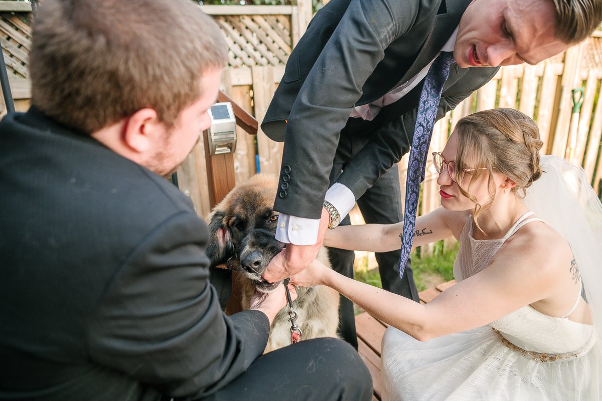 Bride and groom feeding their pet dog with chicken