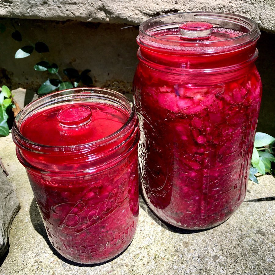 That color! A magenta ferment with cabbage, beets, turnips, and garlic from local growers. Enjoying the bounty of summer and giving my microbiome some love.❤️💗💜#saurkraut