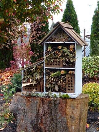  Insect Hotel - Homemade especially for the Arboretum by a local Master Gardener. The hotel provides shelter for insects and promotes pollination. 