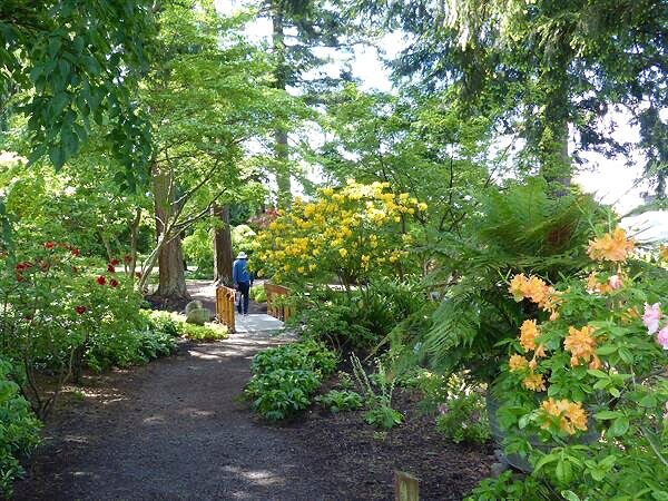  Enjoy a spring walk through the Woodland Garden. 