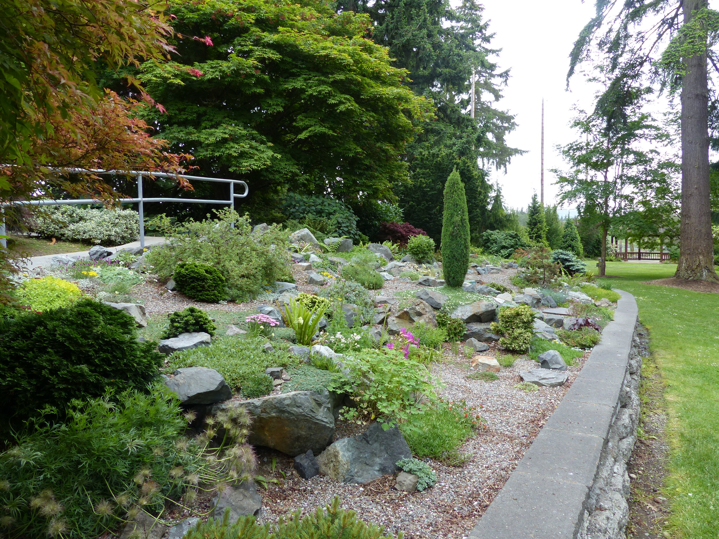  A 900 square foot rock garden featuring alpine perennials, bulbs, dwarf shrubs and dwarf conifers installed at the bottom on the Viewing Mound. 
