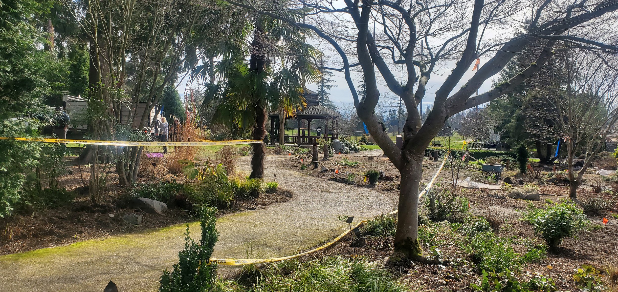  Photo showing early demolition of the Backyard Garden, looking southeast from the Maple Grove to the gazebo. 