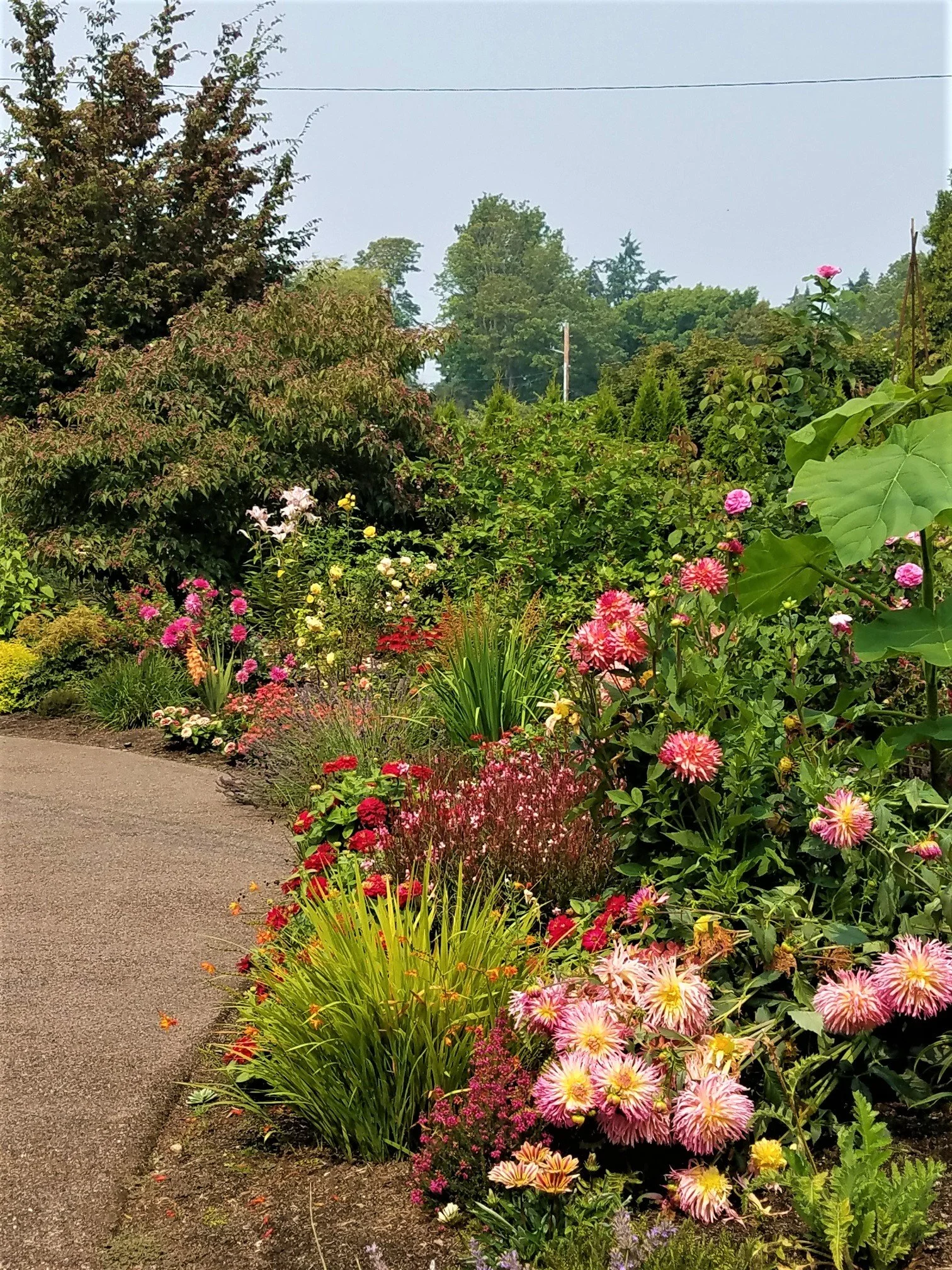 The Perennial Path: A Walk & Talk Series - Oddballs & Weirdos