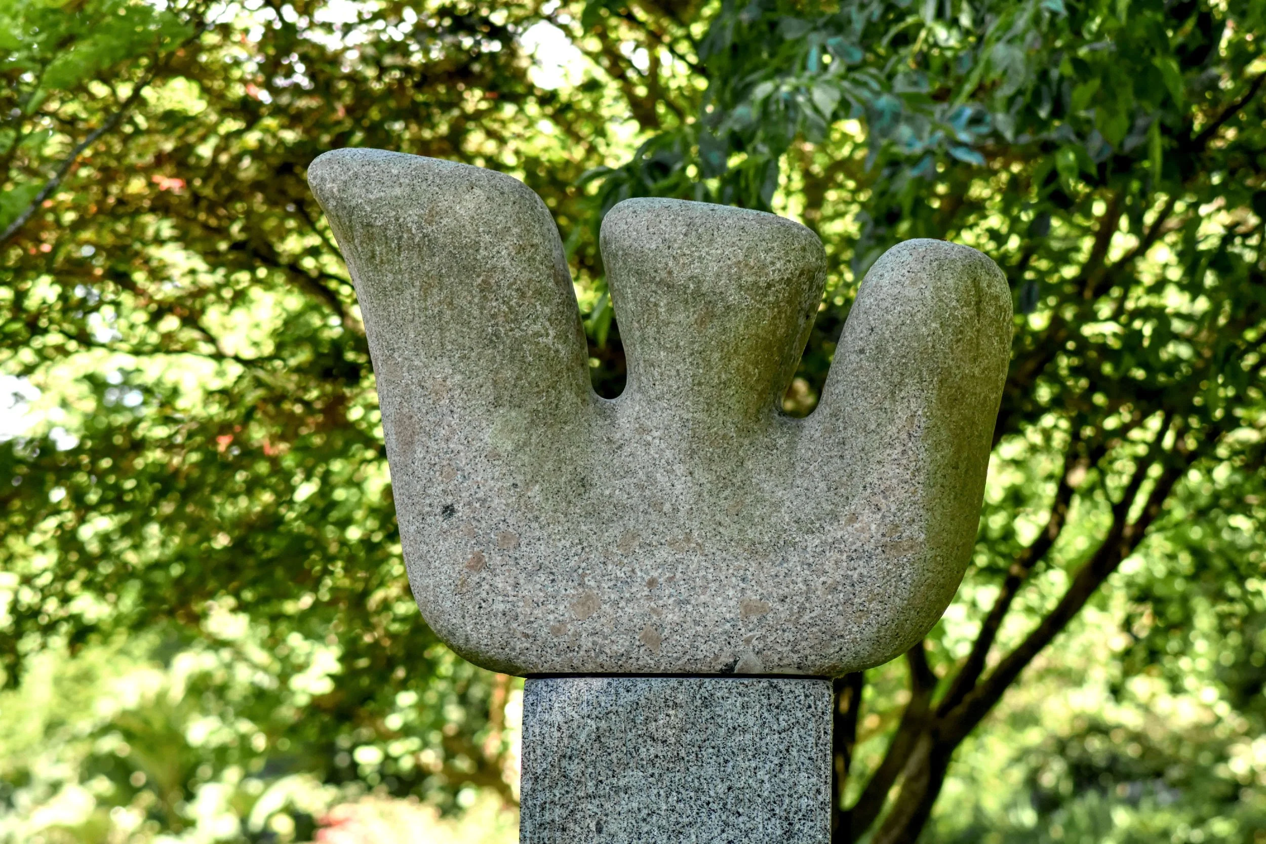 Shalom Close-up