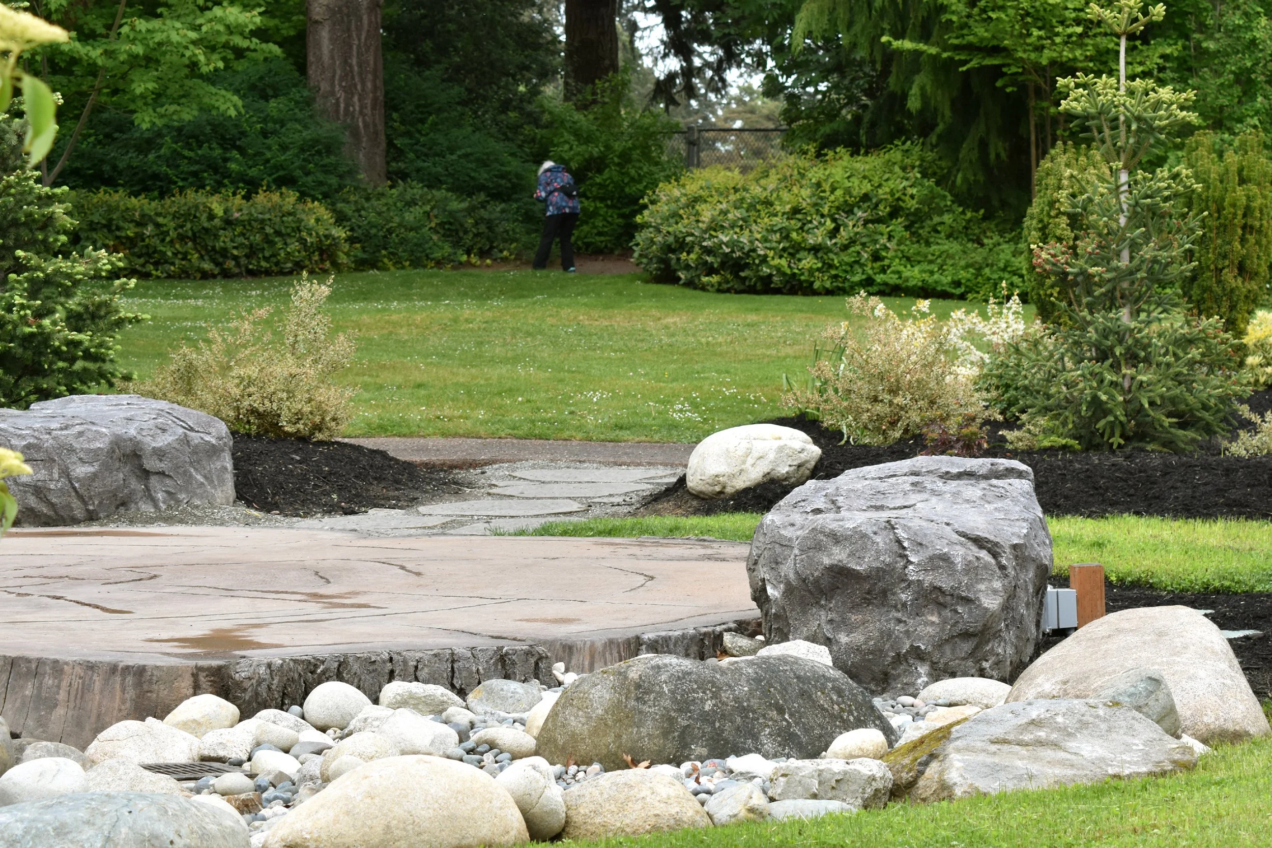 BackyardGarden (10).JPG