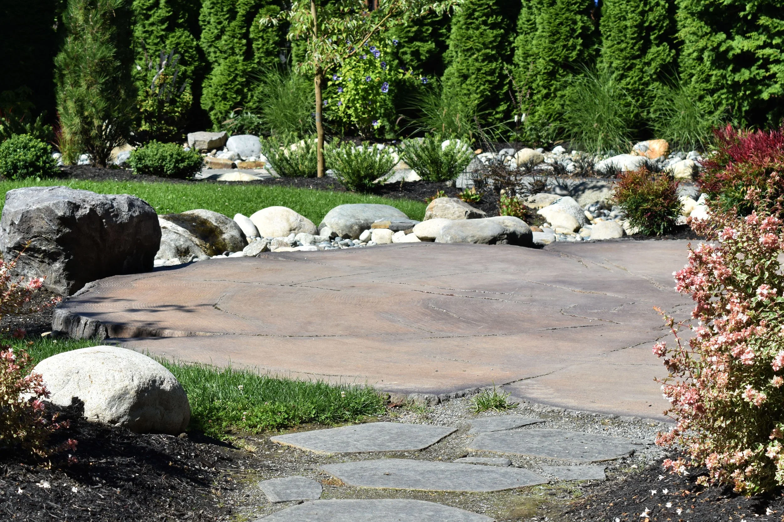 BackyardGarden (38).JPG