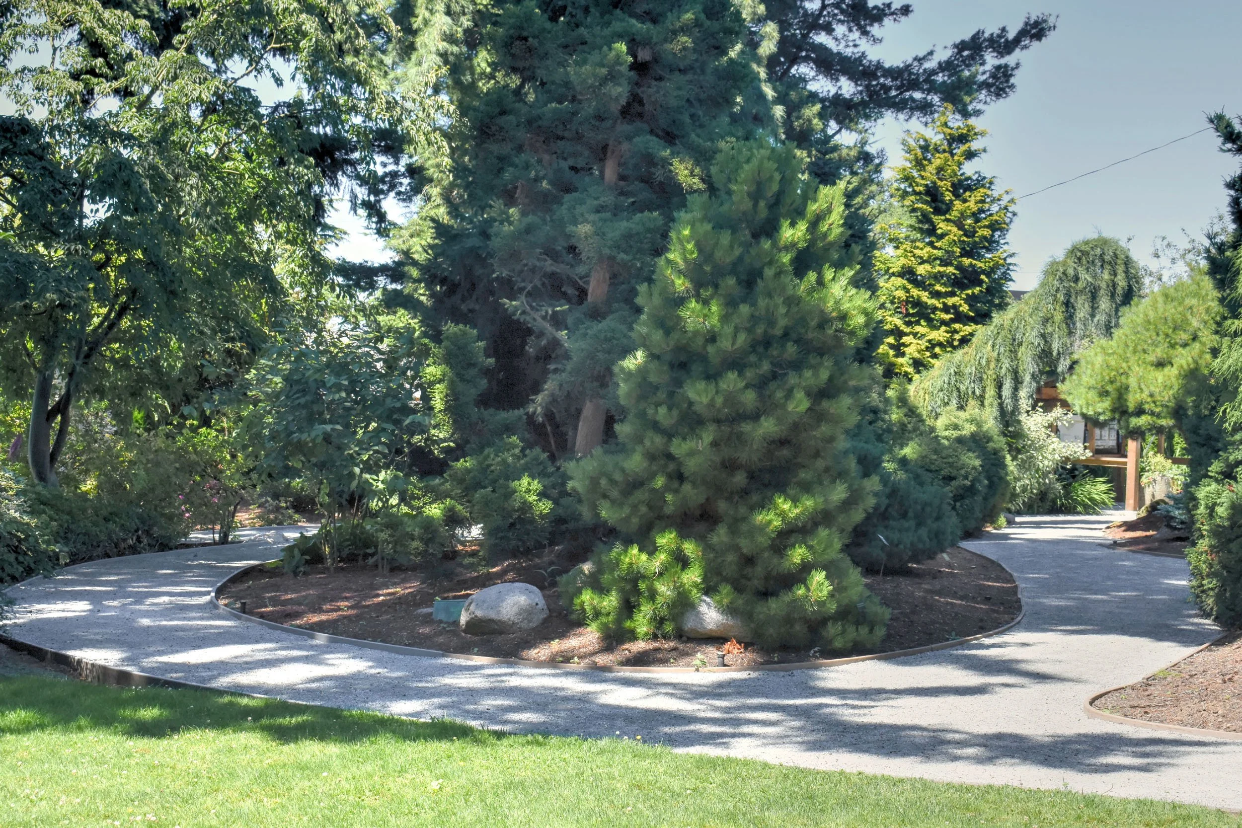 ConiferGarden (4).JPG