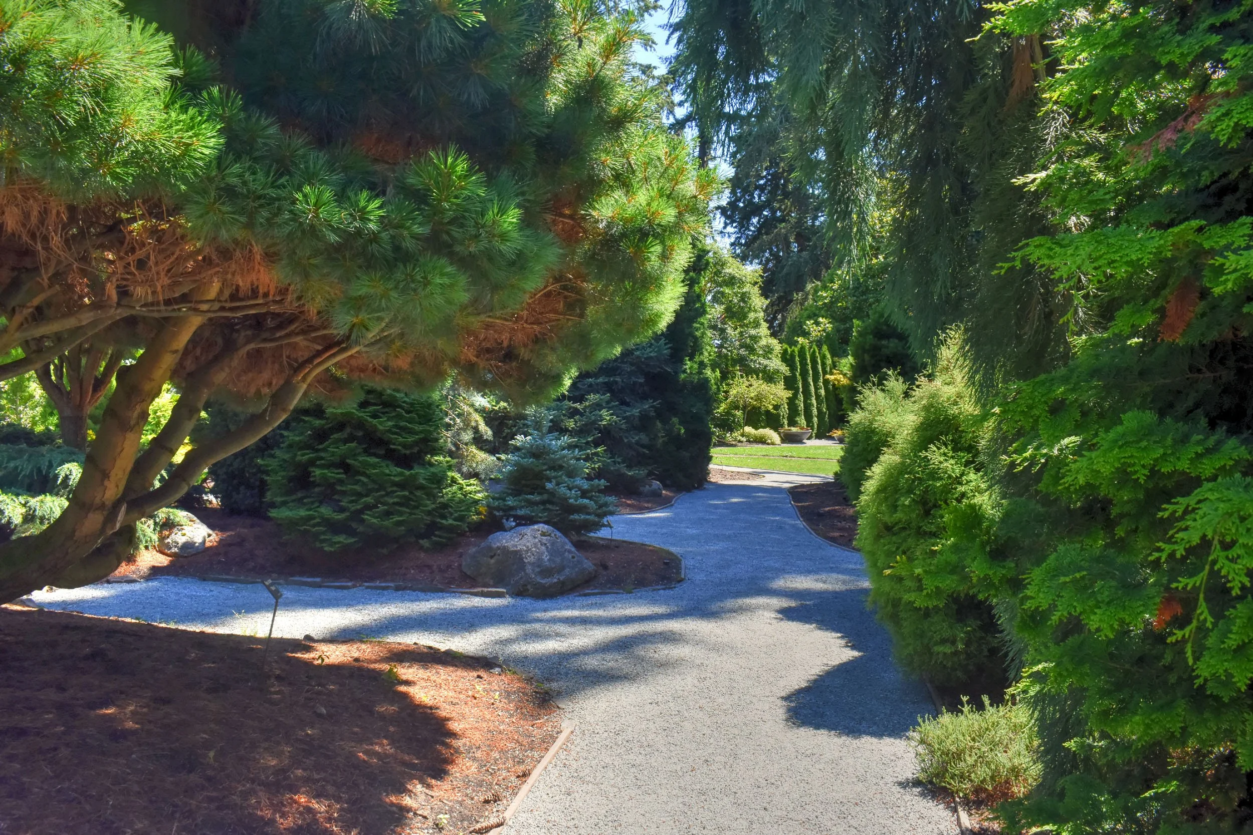 ConiferGarden (7).JPG