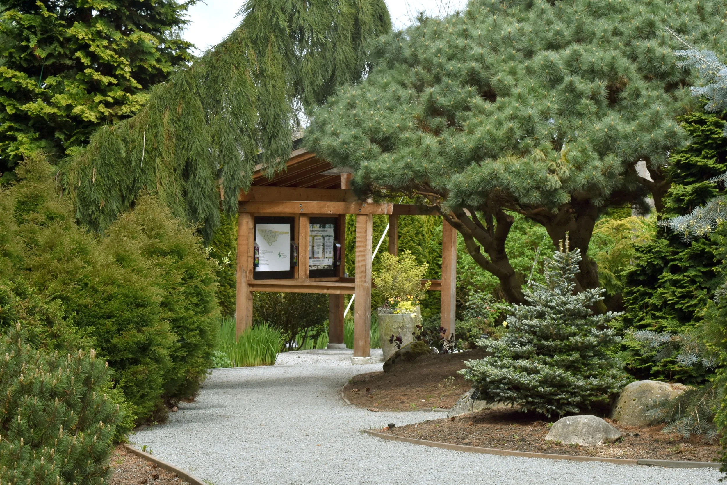 ConiferGarden (11).JPG