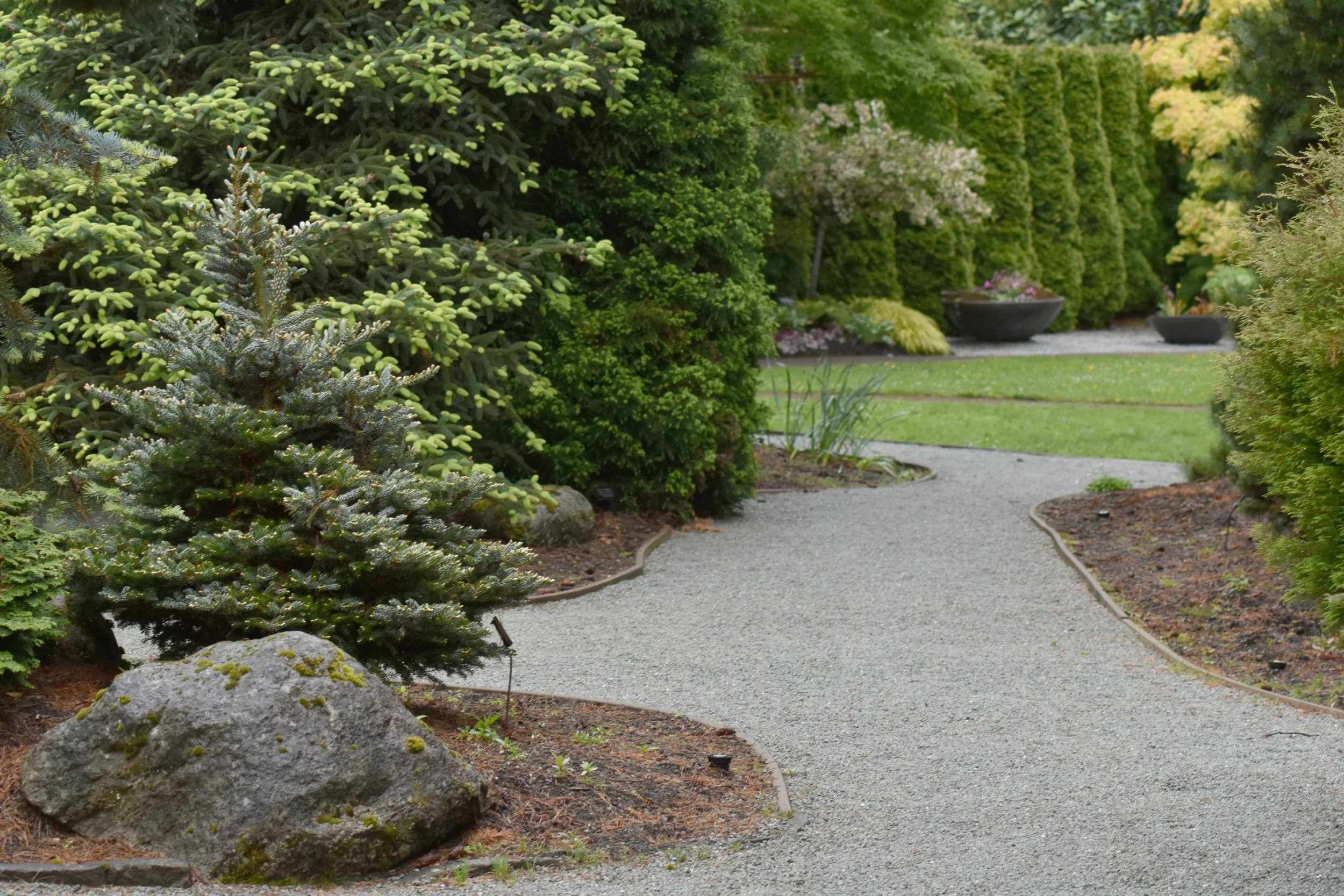 ConiferGarden (29).JPG