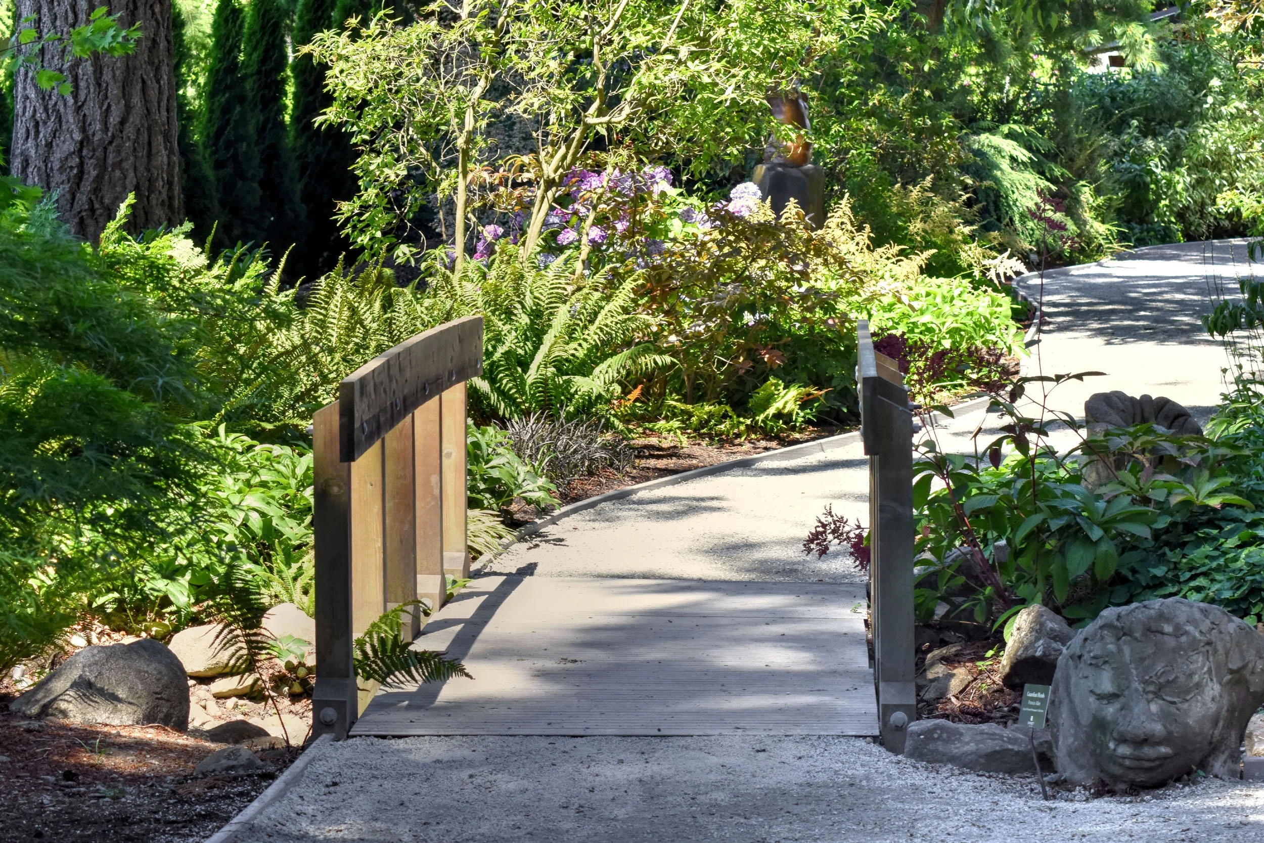 Fernery (15).JPG