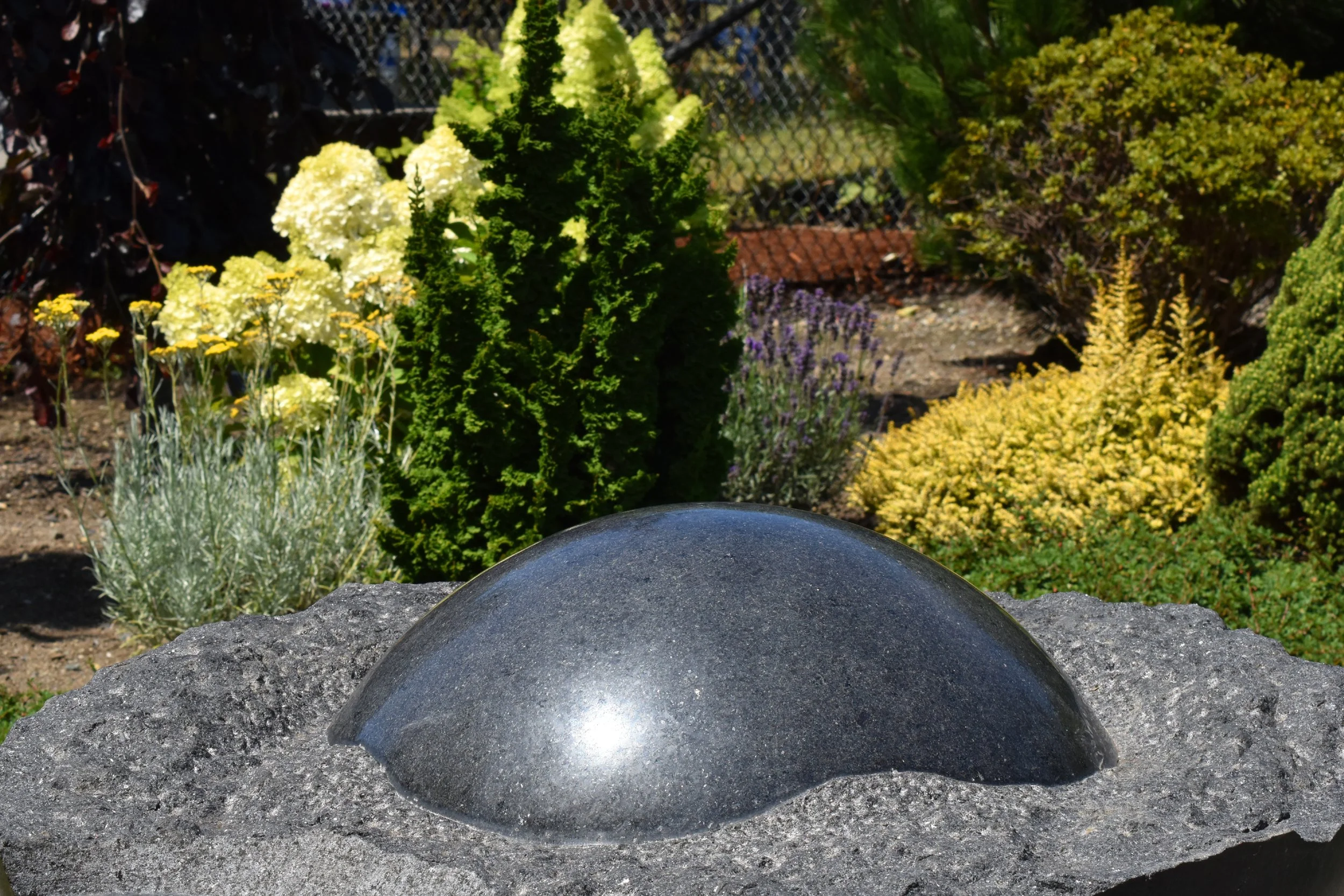 HorizontalRockGarden (2).JPG