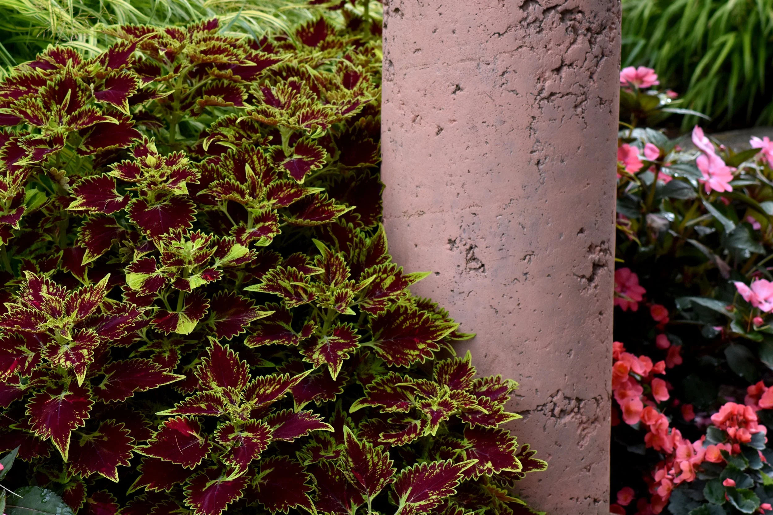 MasterGarden (6).JPG