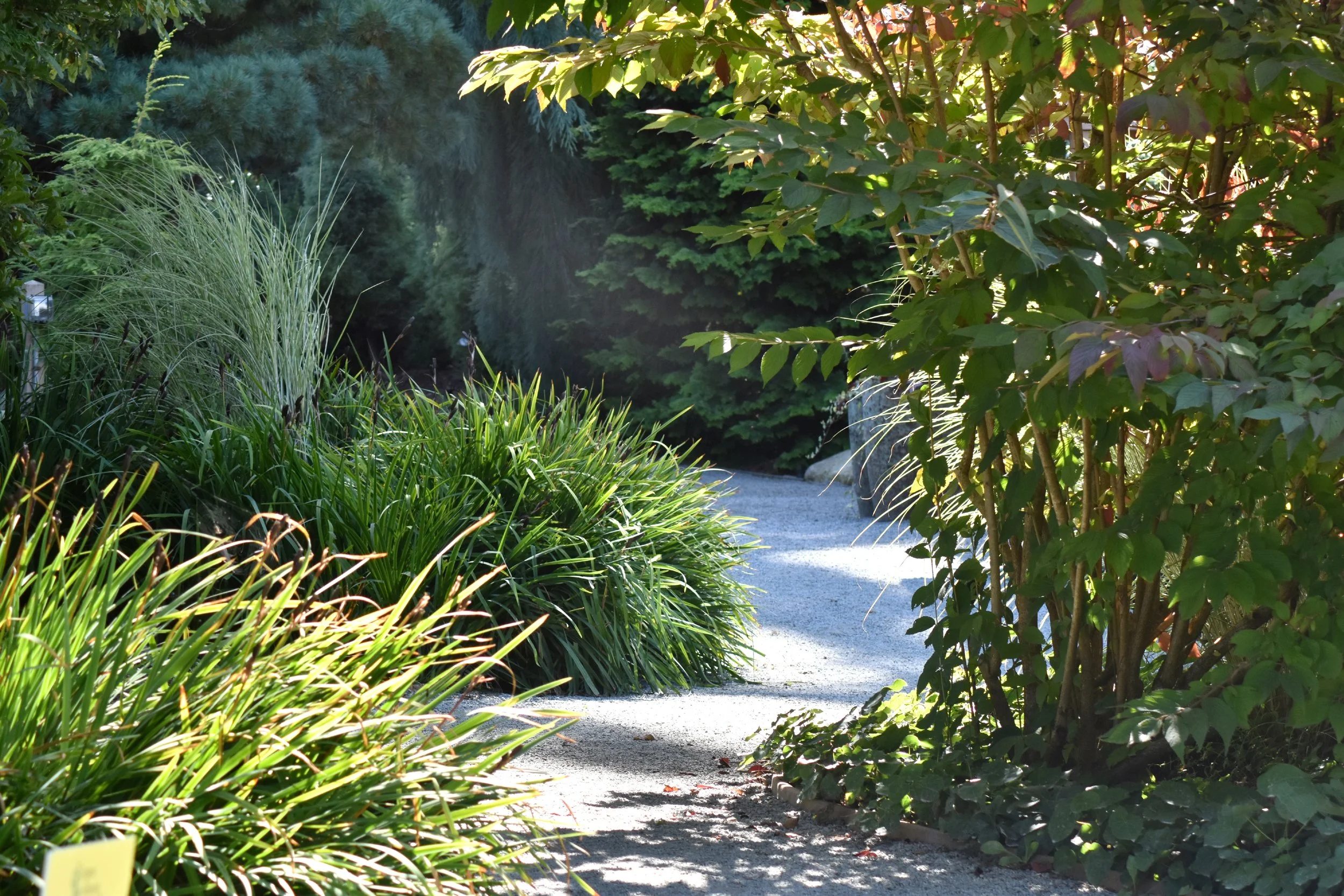Small_Urban_Tree_Trail (47).JPG