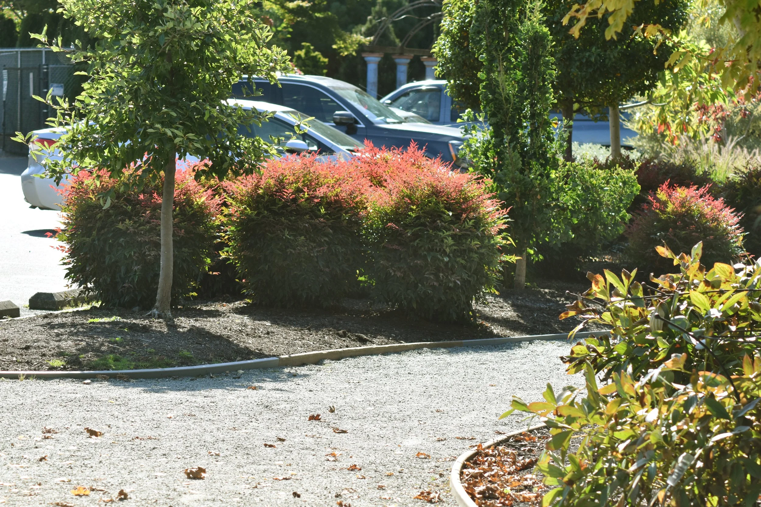 Small_Urban_Tree_Trail (34).JPG