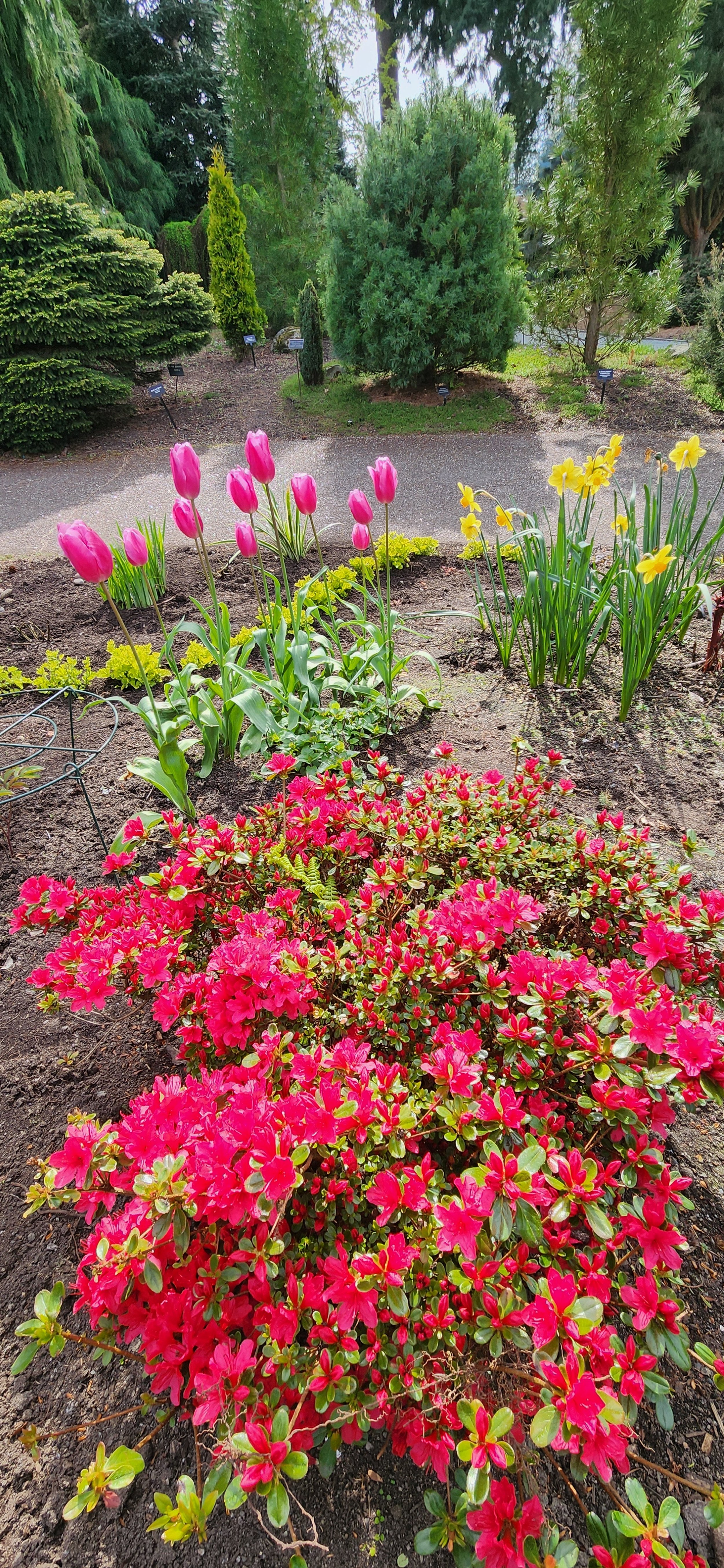 The Perennial Path Walk &amp; Talk Series: Spring Bloomers