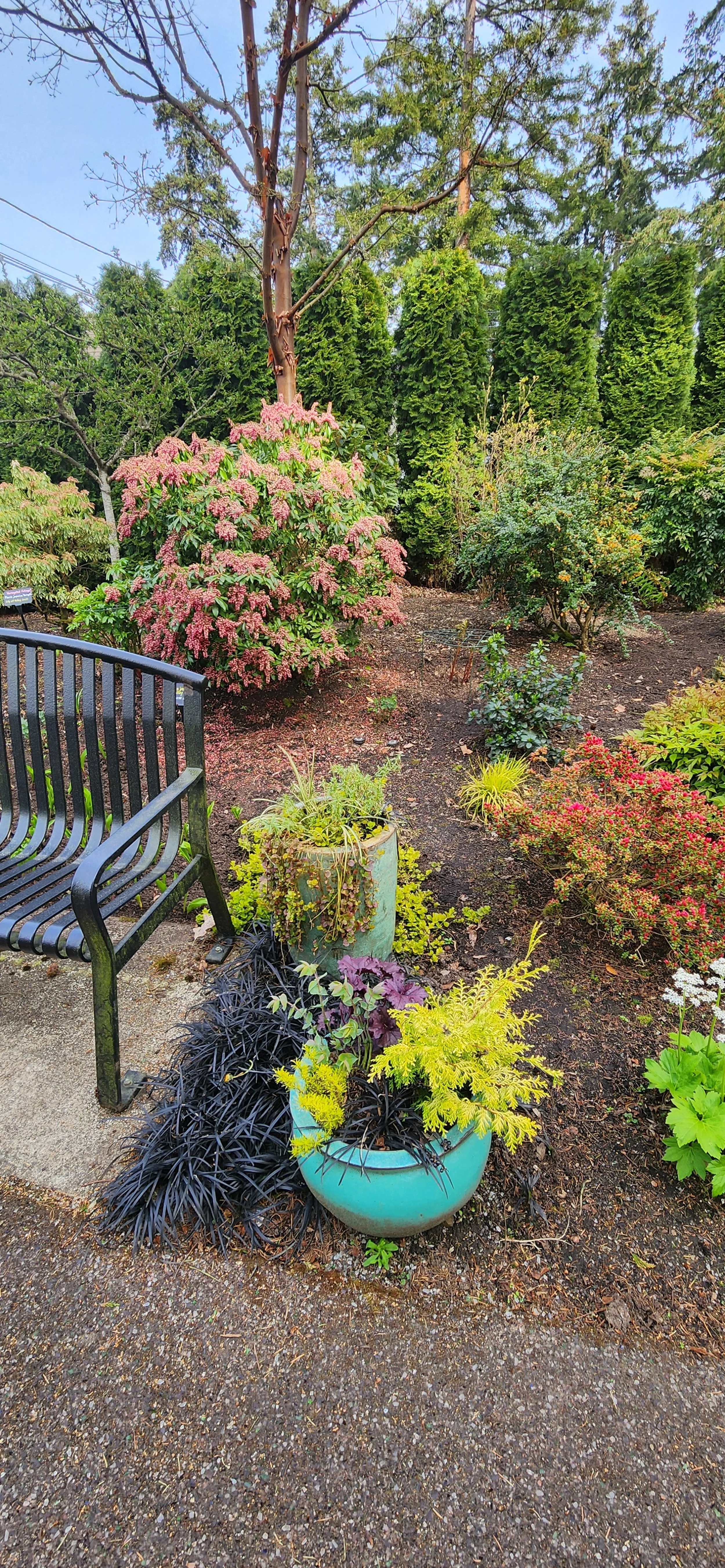 The Perennial Path Walk & Talk Series: Shrubs for Structure