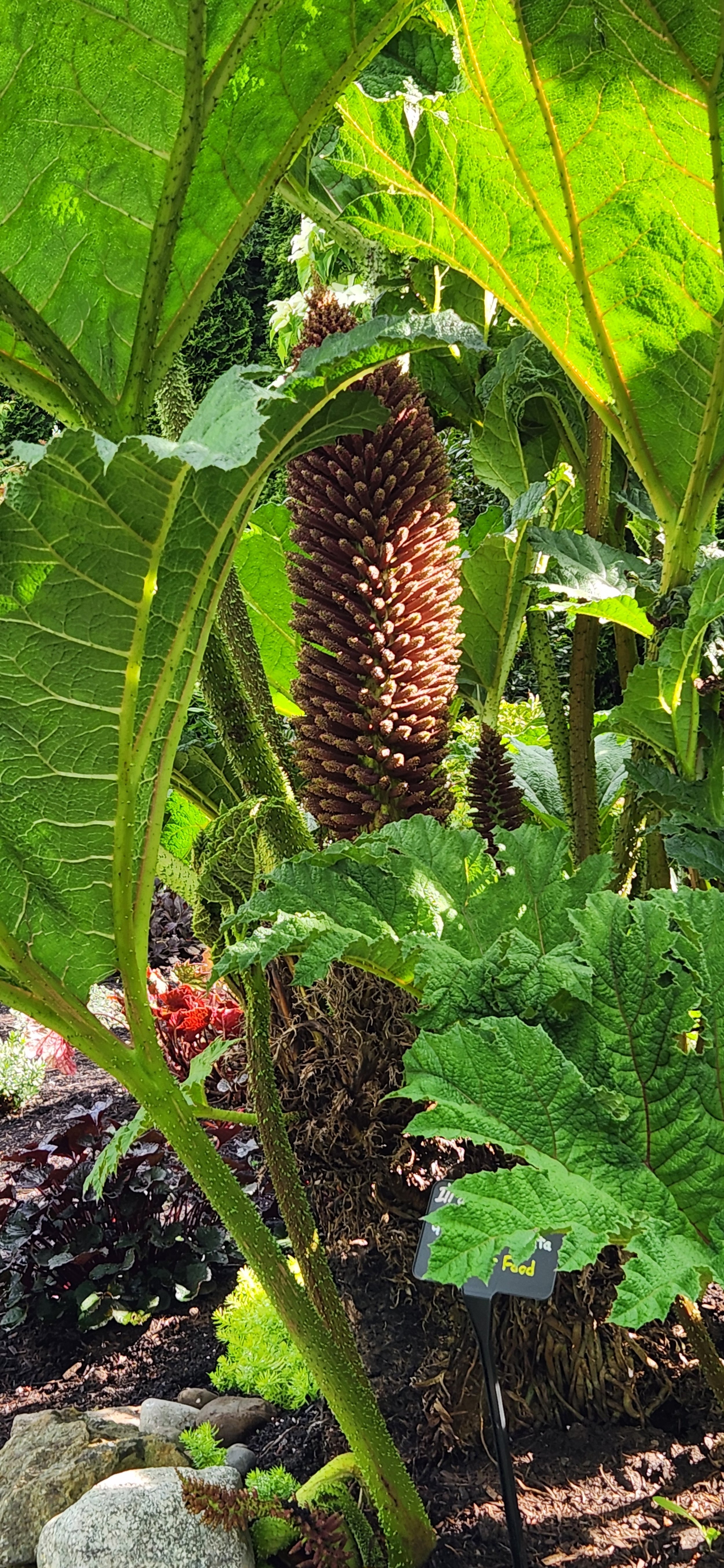 The Perennial Path Walk & Talk Series: Favorites & Failures