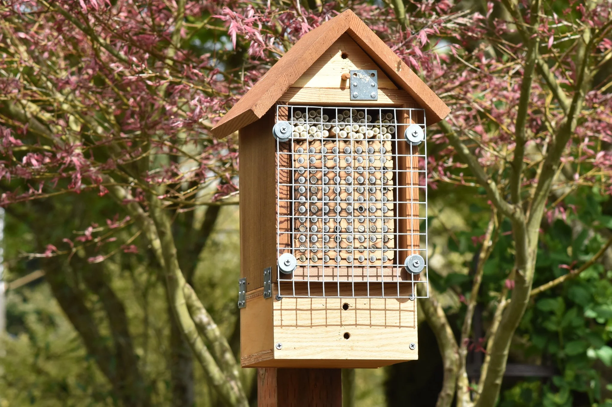 Mason Bee House Class &amp; Installation with Jeff Austin, MG