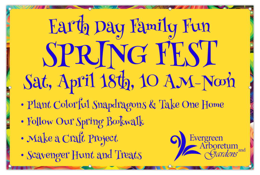 Spring Fest Family Fun