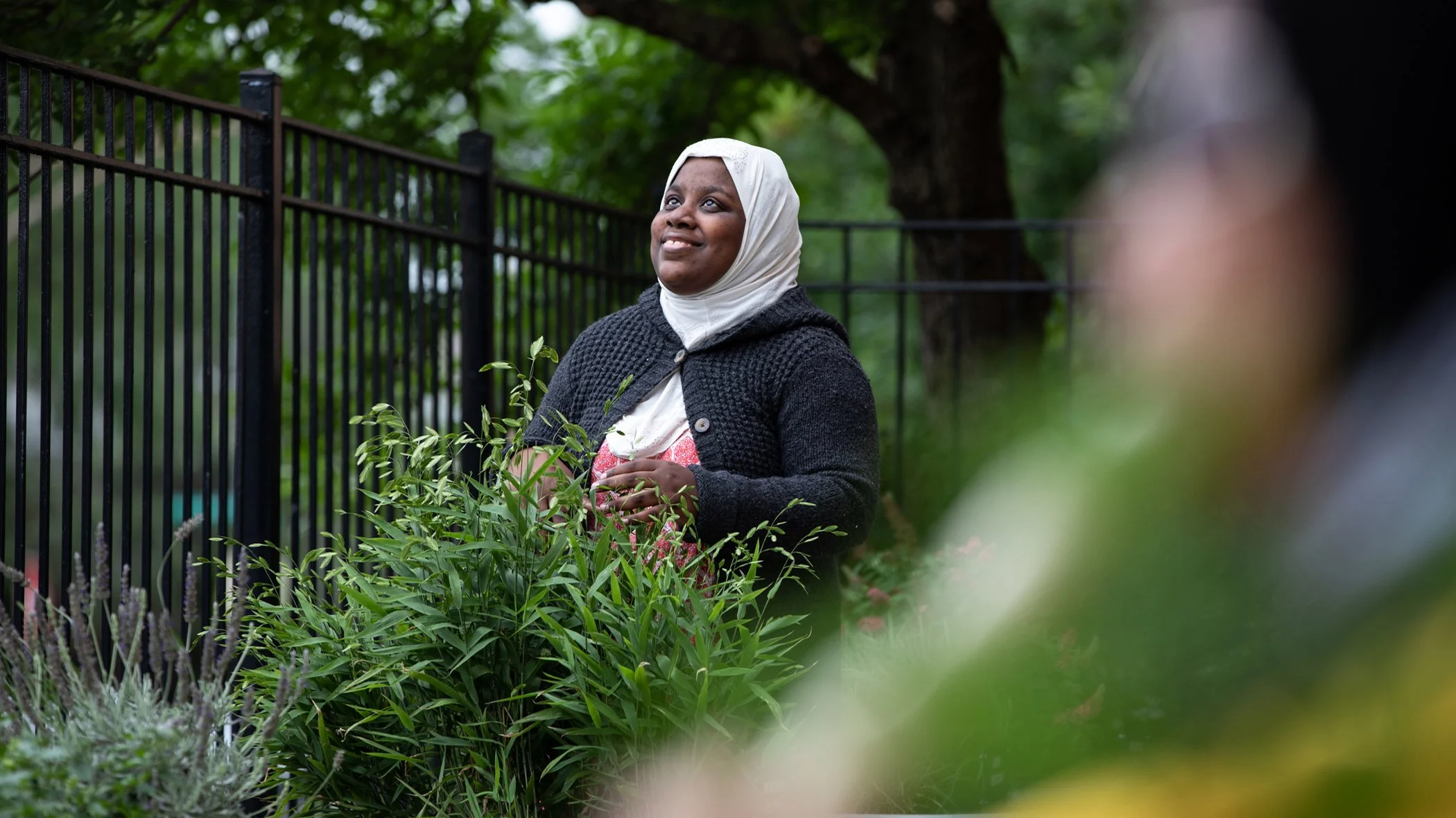 Designing a Better Chicago - Friedman Place 