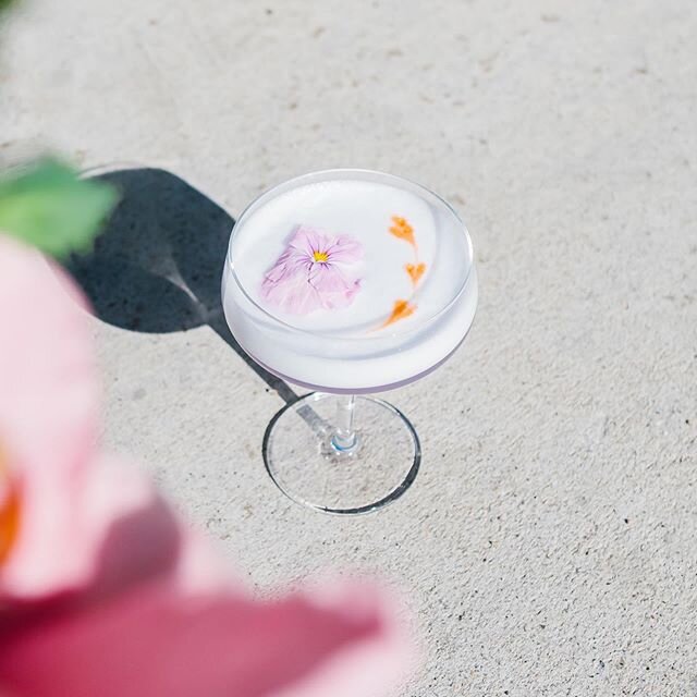 Just in time for the weekend, a sweet variation of the Aviation from Wesley &amp; Rose Lobby Bar. Enjoy! -
2&nbsp;oz&nbsp;Empress Gin
.5oz Maraschino liqueur
.5 oz Cr&egrave;me de violette
.5 oz Fresh lemon juice
1 egg white
3 dashes of cherry bitter