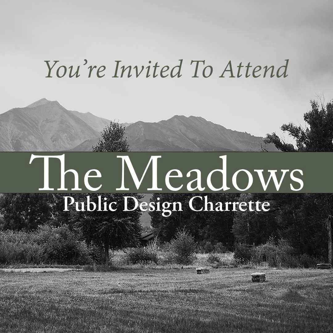 The Meadows Public Design Charrette