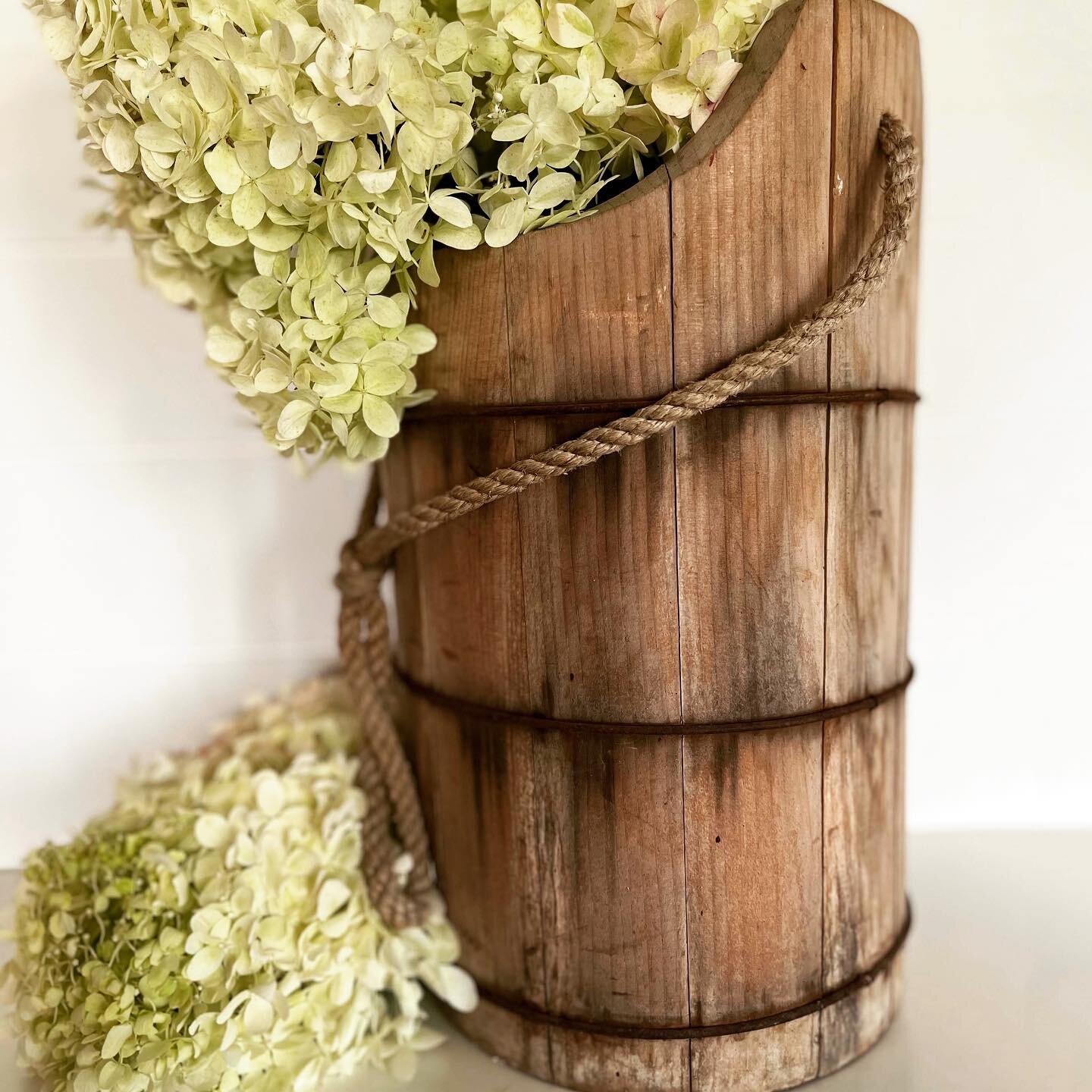 Don&rsquo;t hydrangeas just make everything prettier?!!

I found this old pail at an estate sale and these hydrangeas dress it up so beautifully! 

I tried to dry the hydrangeas tonight by hanging them upside down and my fingers are crossed that they