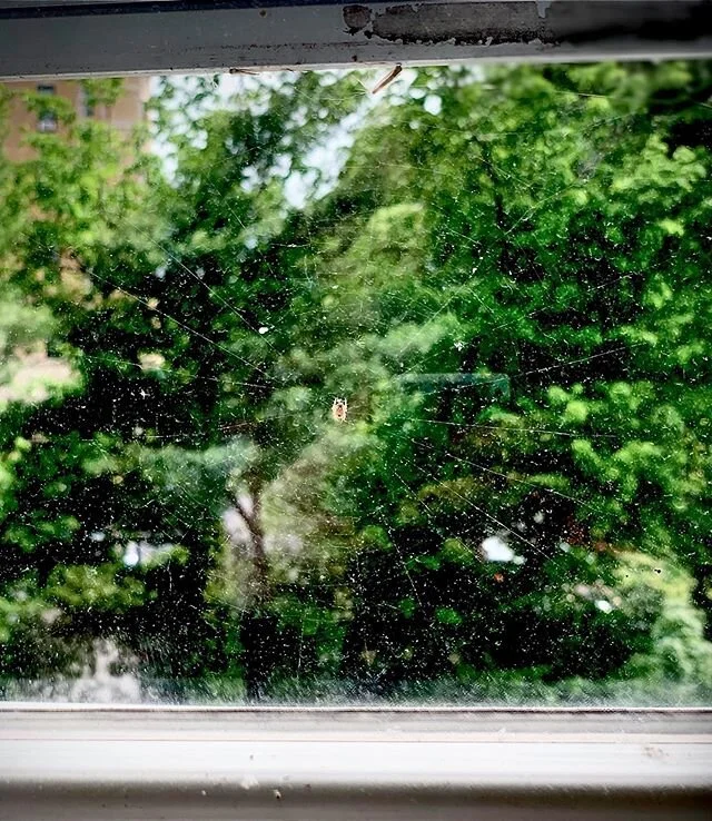 Found a spider web on the air conditioner.