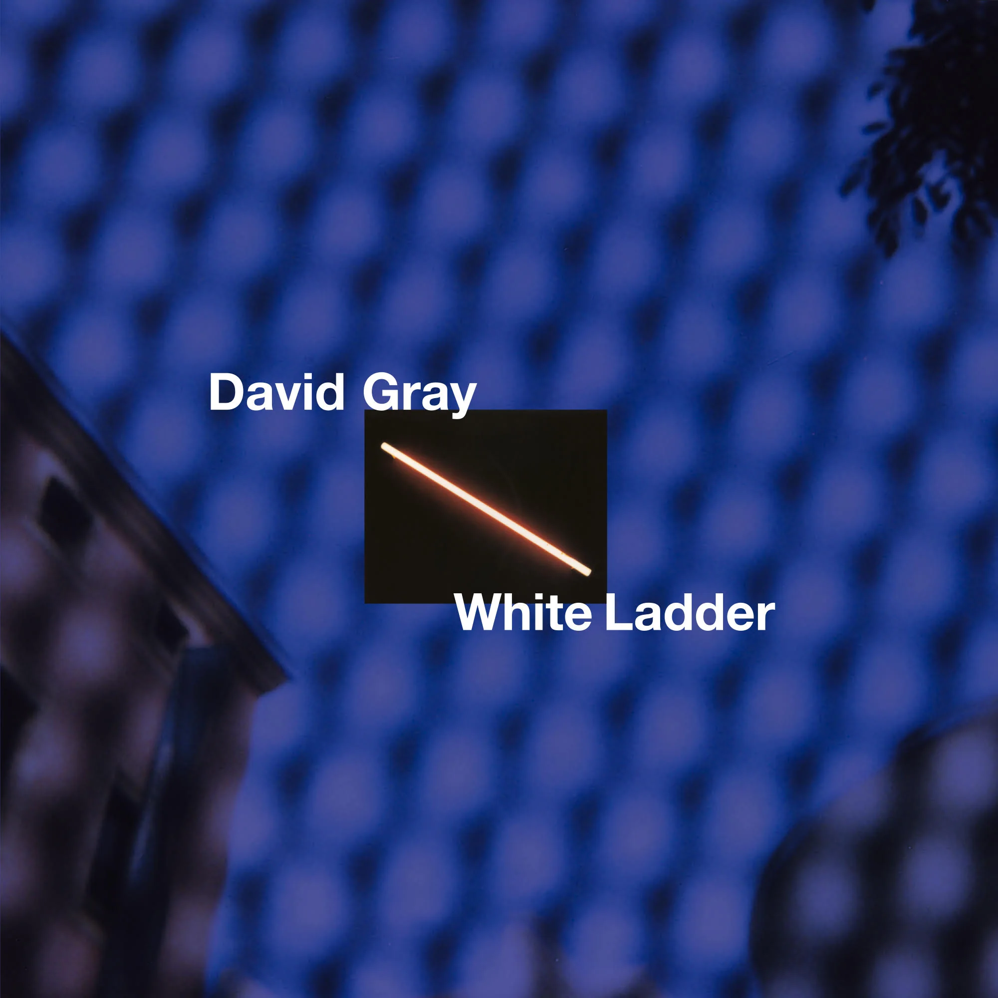 WHITE LADDER (20TH ANNIVERSARY EDITION)