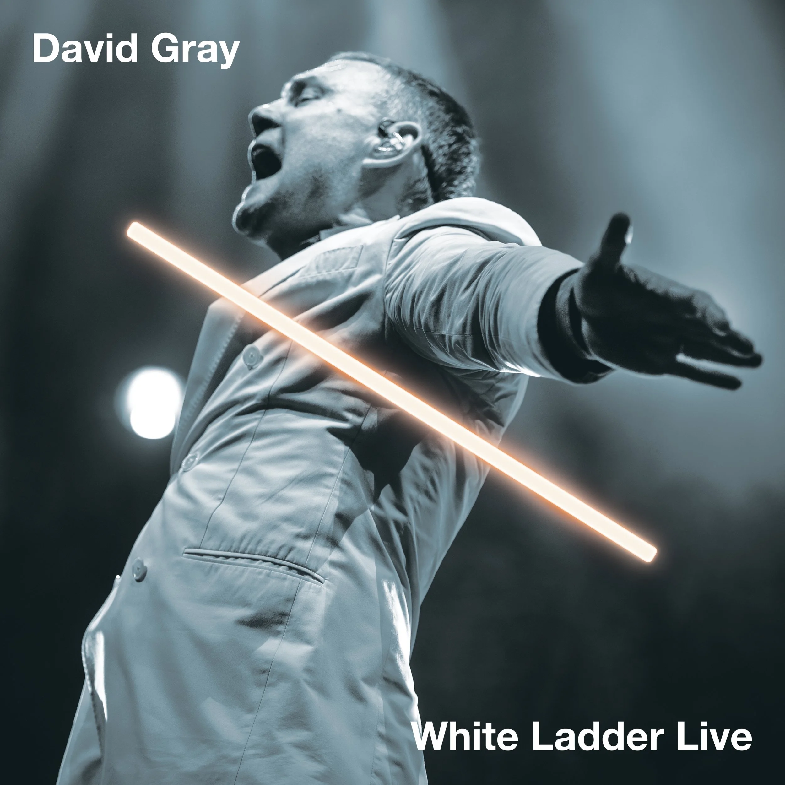David_Gray_White_Ladder_Live_Cover_Digital.jpg