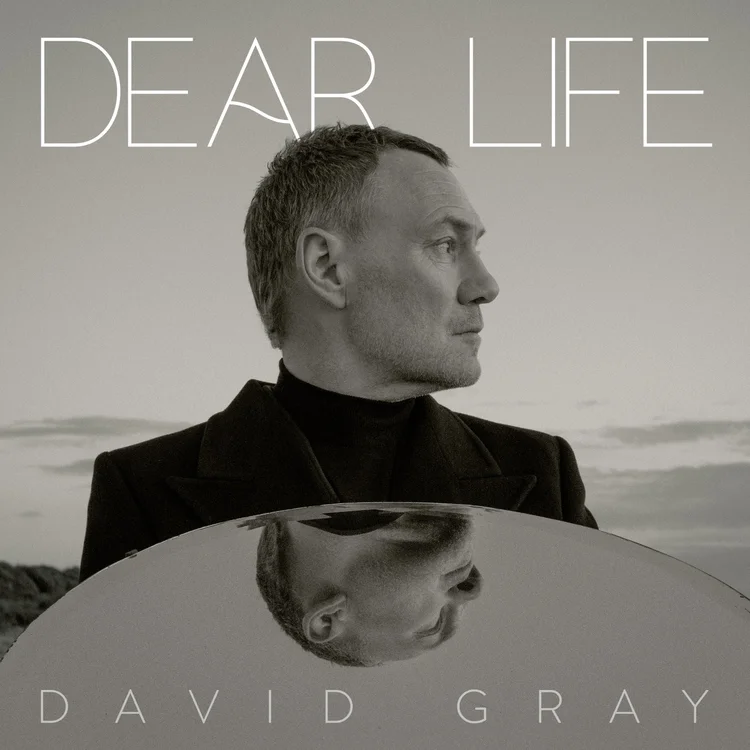 [Image: Dear+Life+Cover.jpg?format=750w]