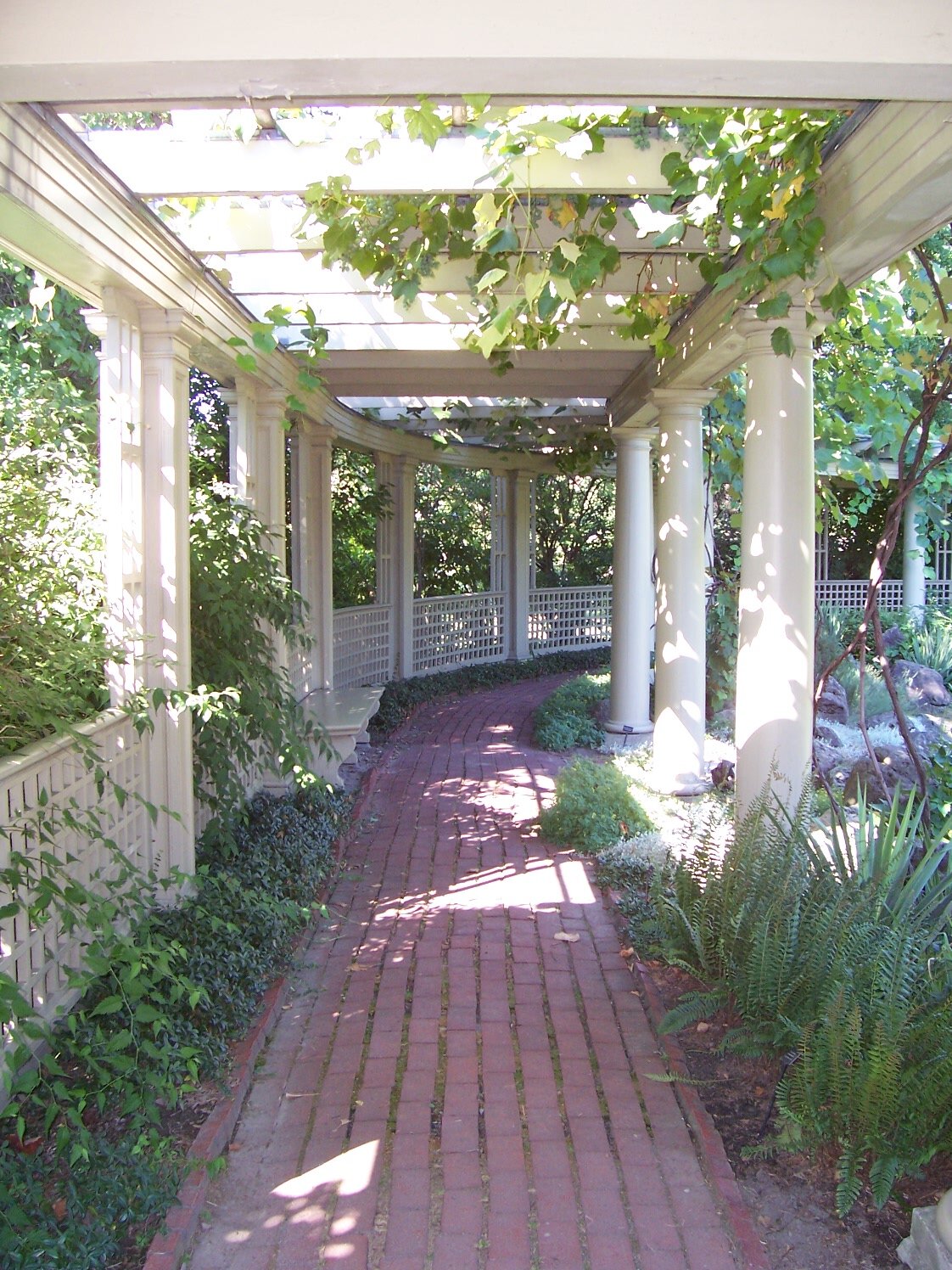 Grape Arbor Underneath.jpg