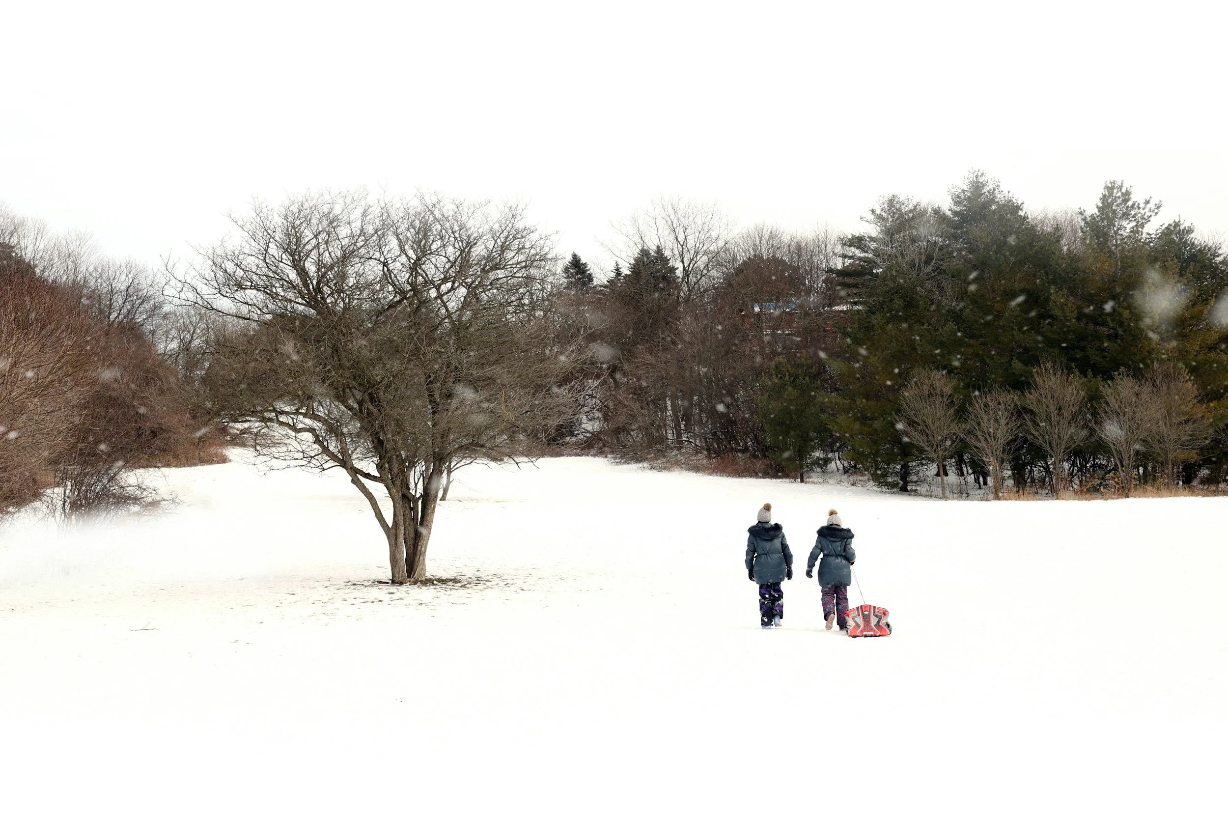 Fun, Outdoor Activities for all Edmontonians