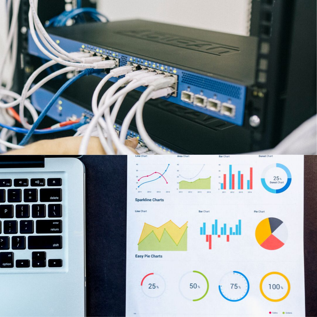 Network & Pie Charts 2.png