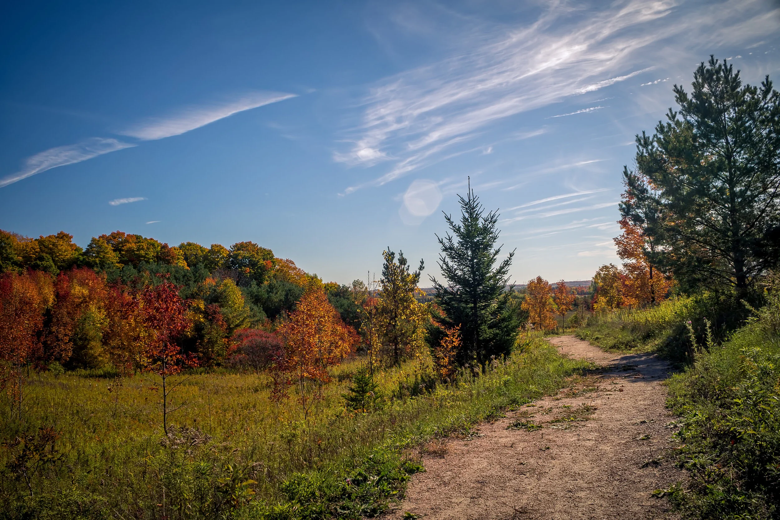 Autumn Trail.jpg