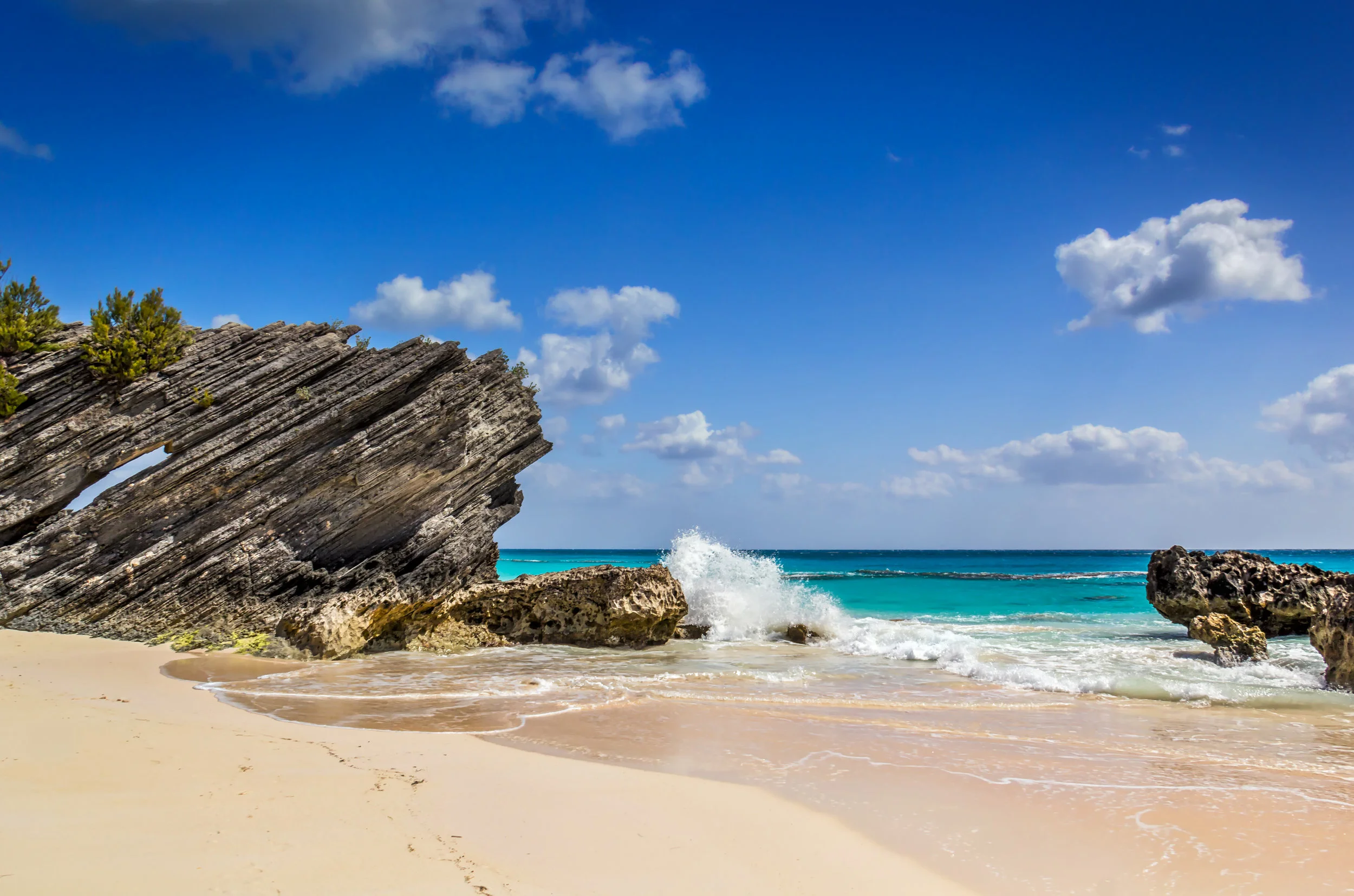 Bermuda Beach 1.jpg