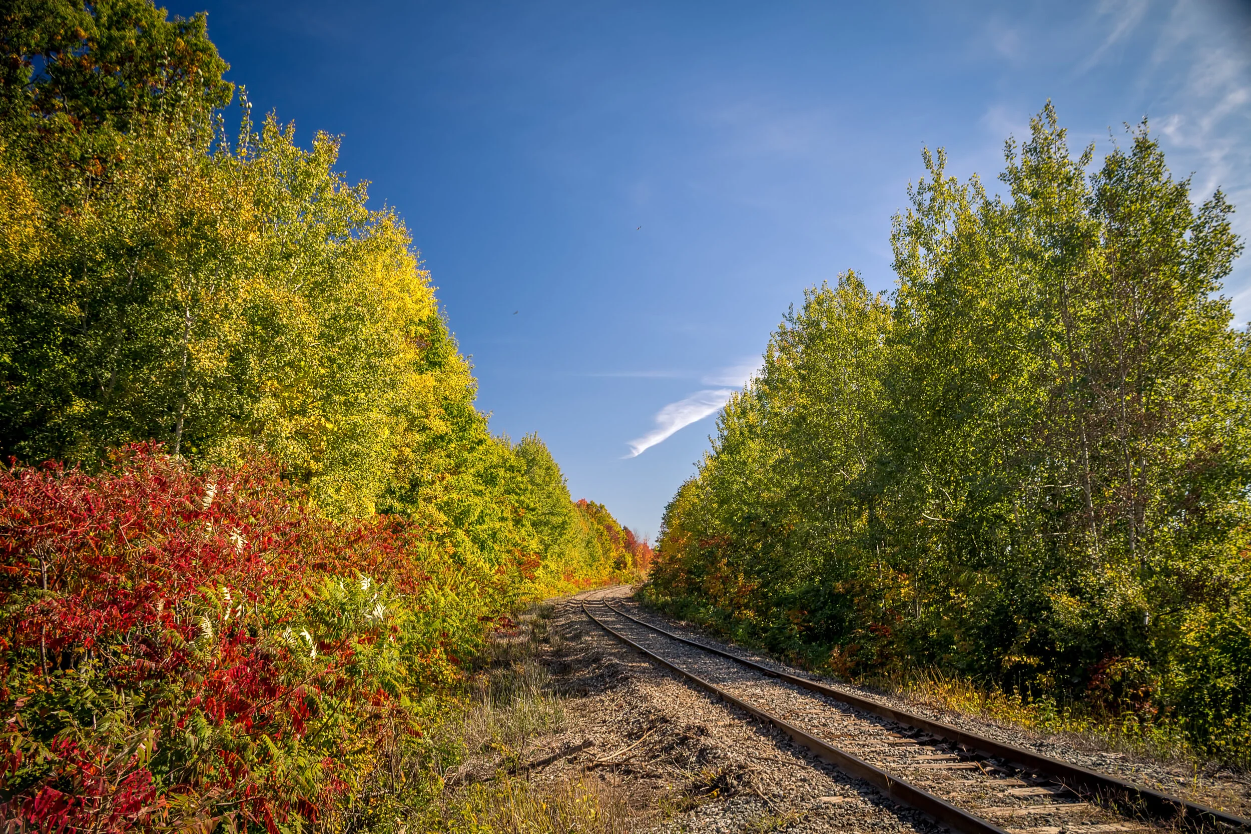 Autumn Tracks.jpg