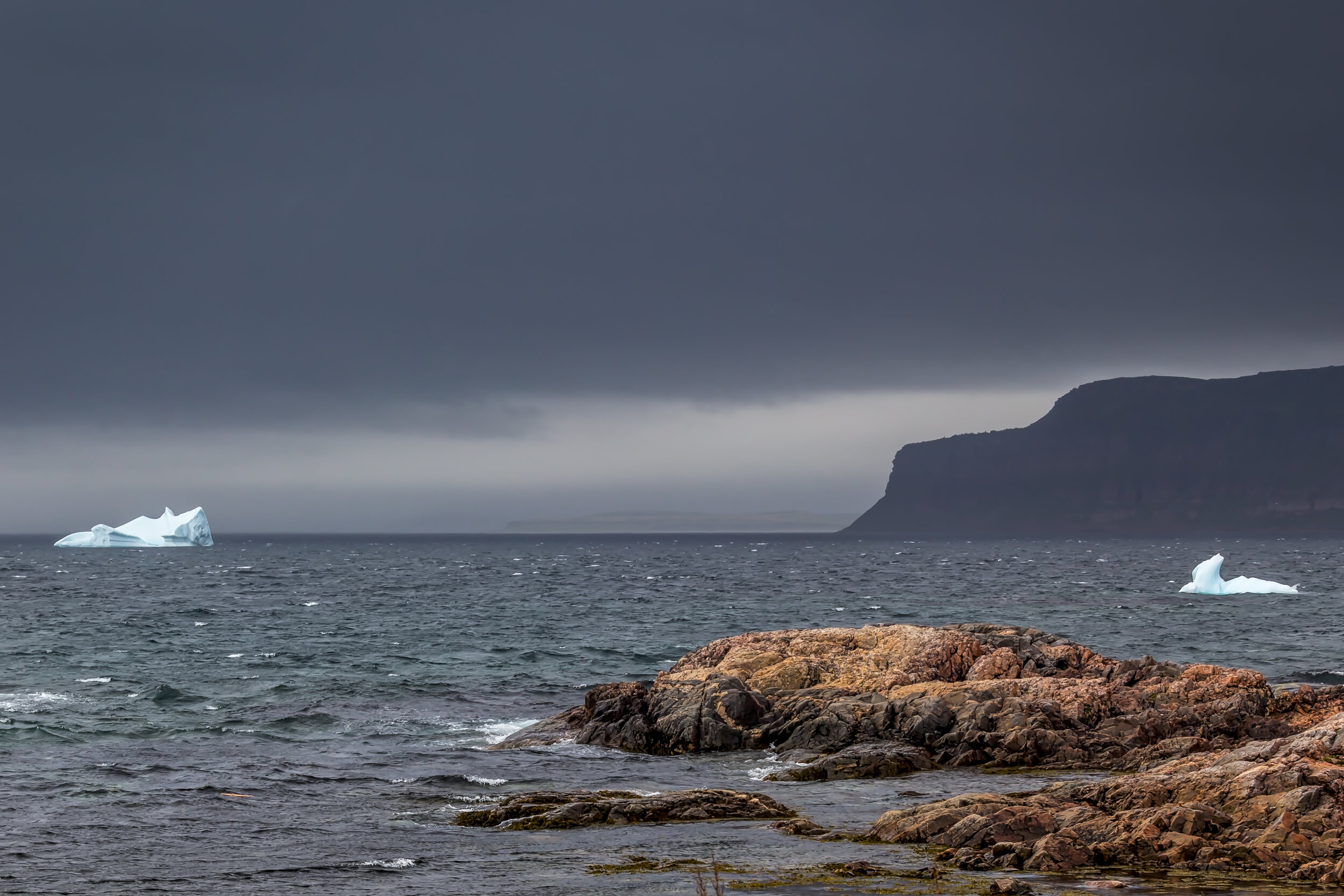Labrador Coastline.jpg