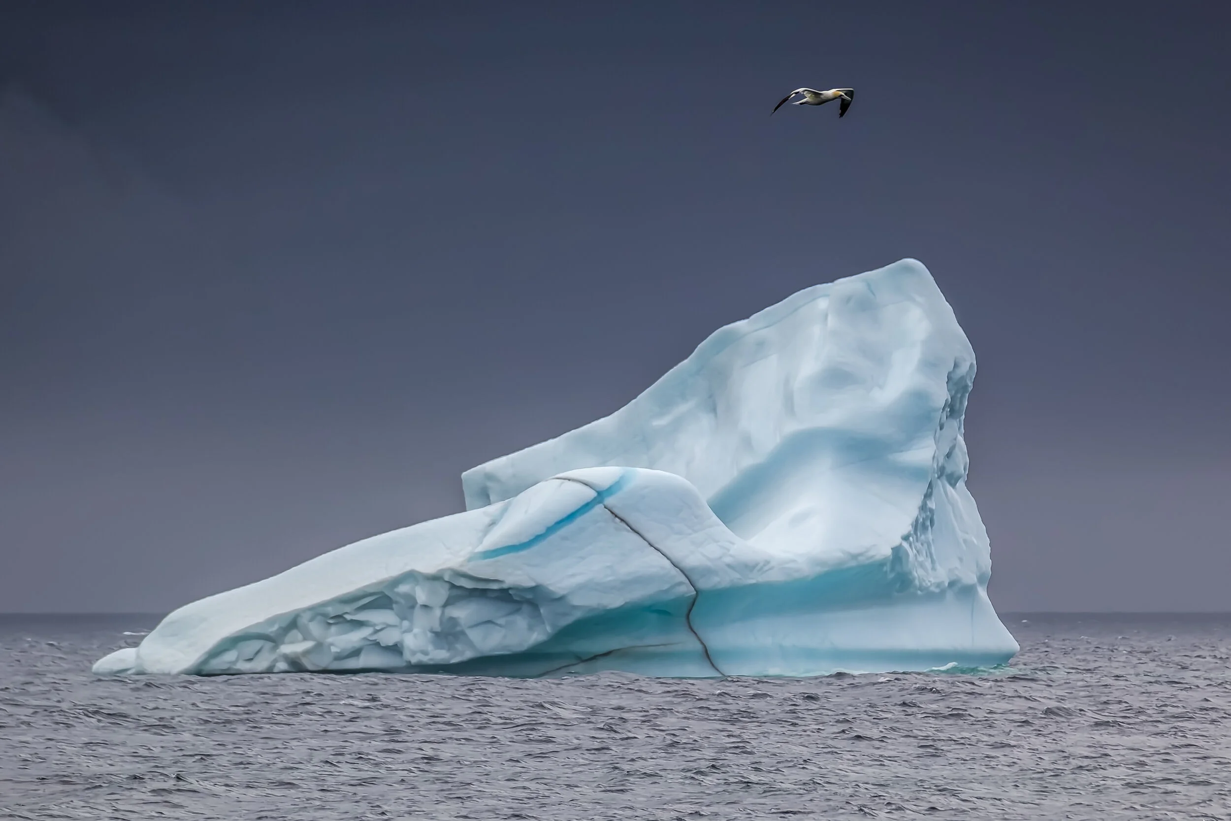 Labrador Ice Berg.jpg