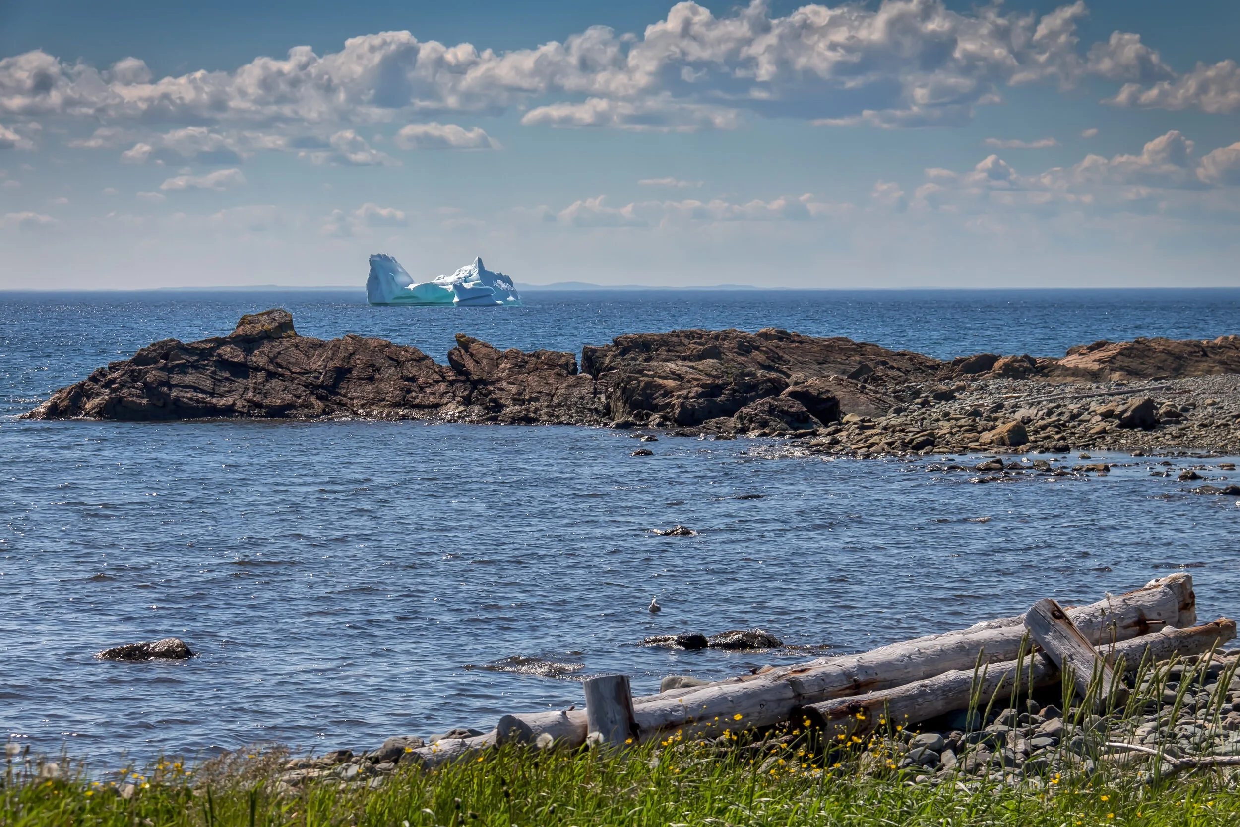 Bonavista Coastline.jpg