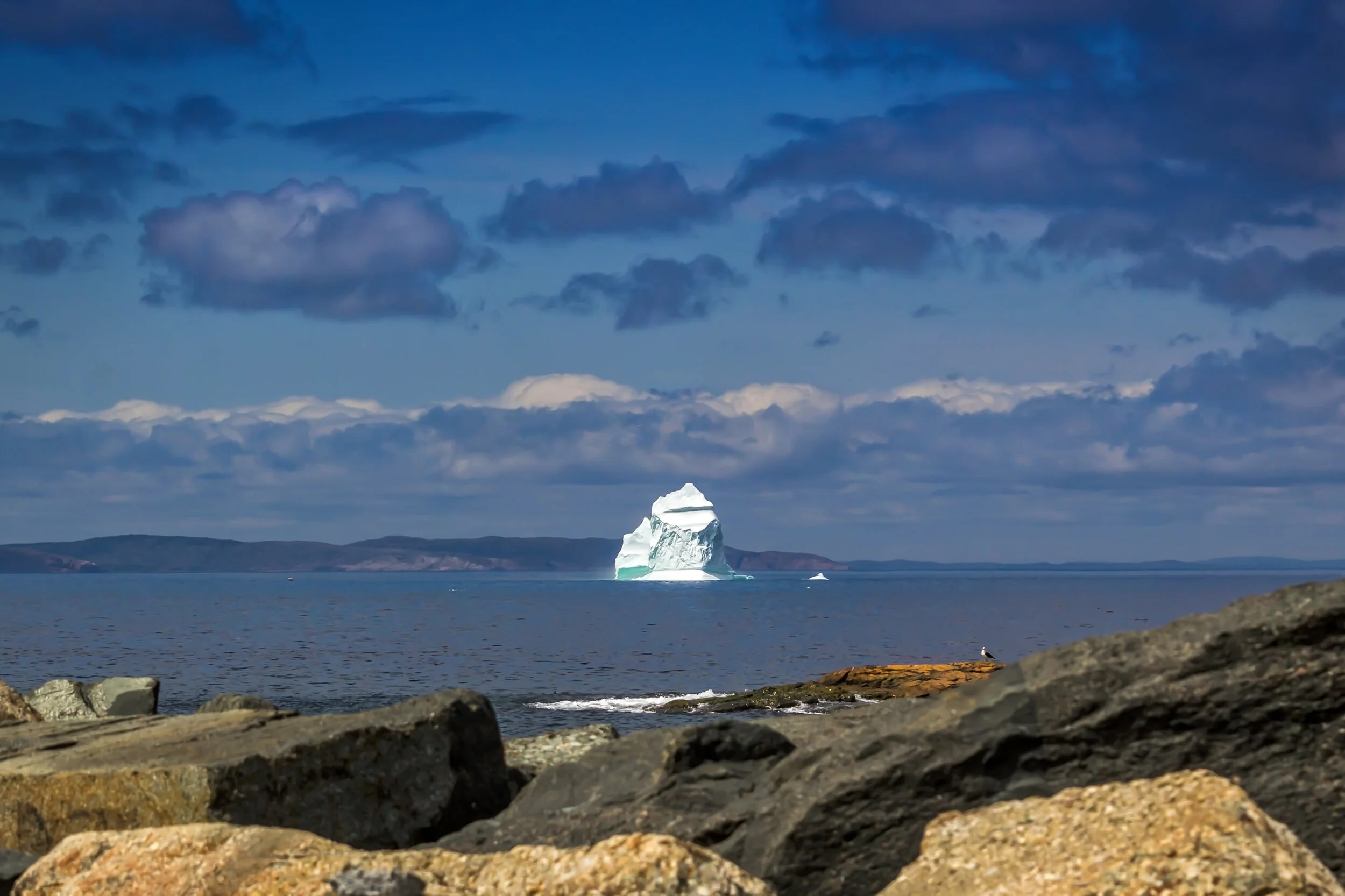 Bonavista Ice Berg.jpg